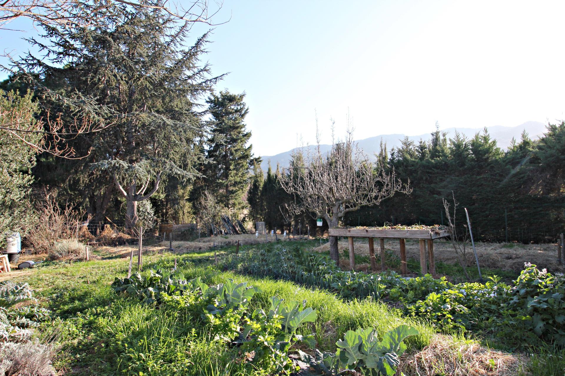 Photo 15 of the listing.