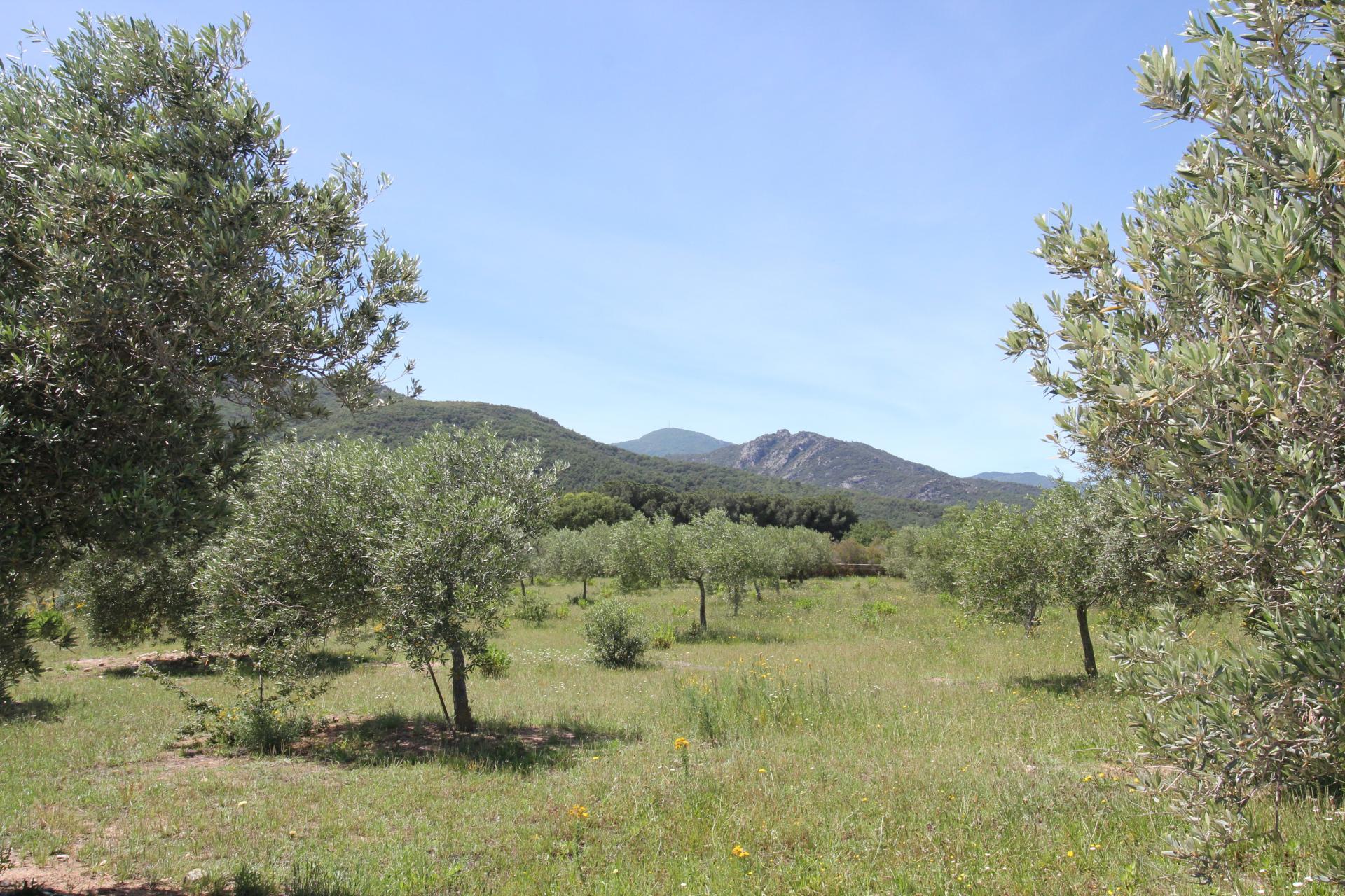 Photo 5 of the listing.