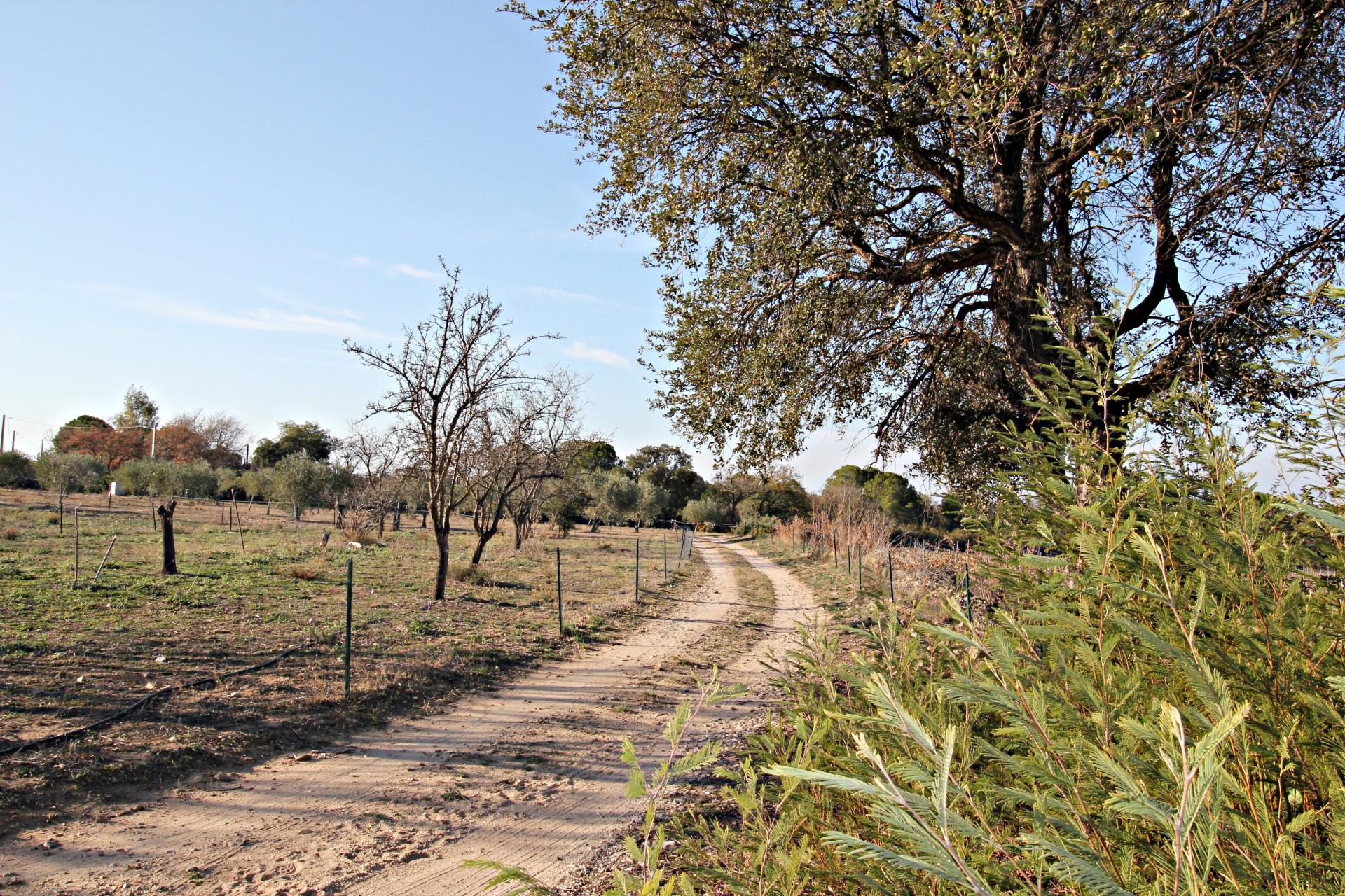 Photo 20 of the listing.