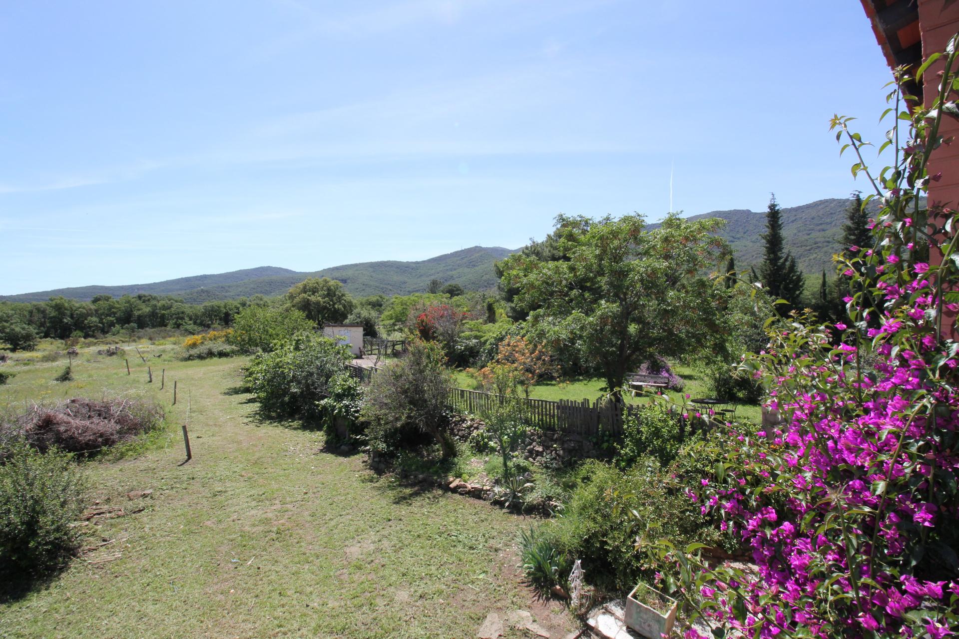 Photo 13 of the listing.