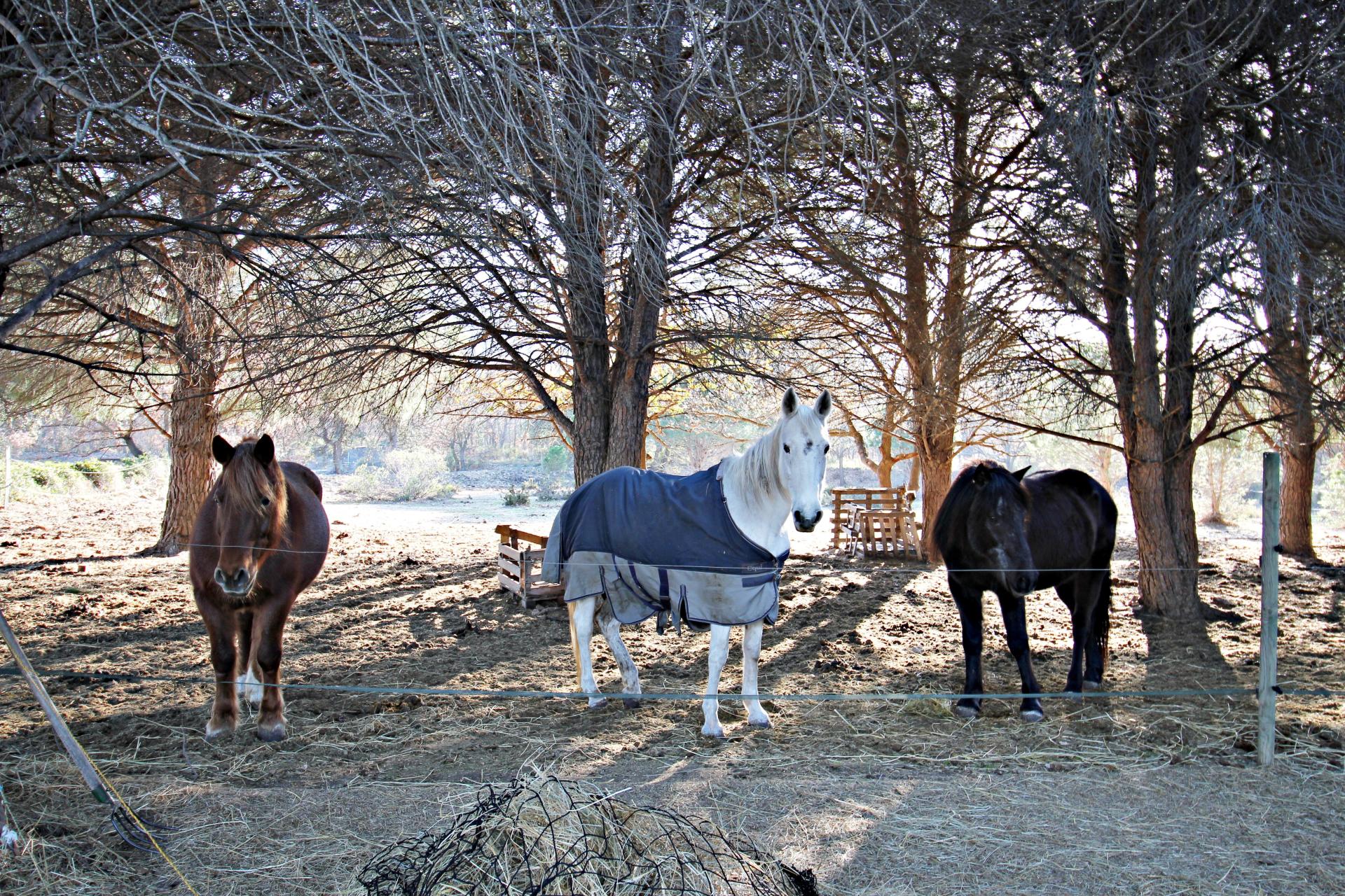 Photo 19 of the listing.