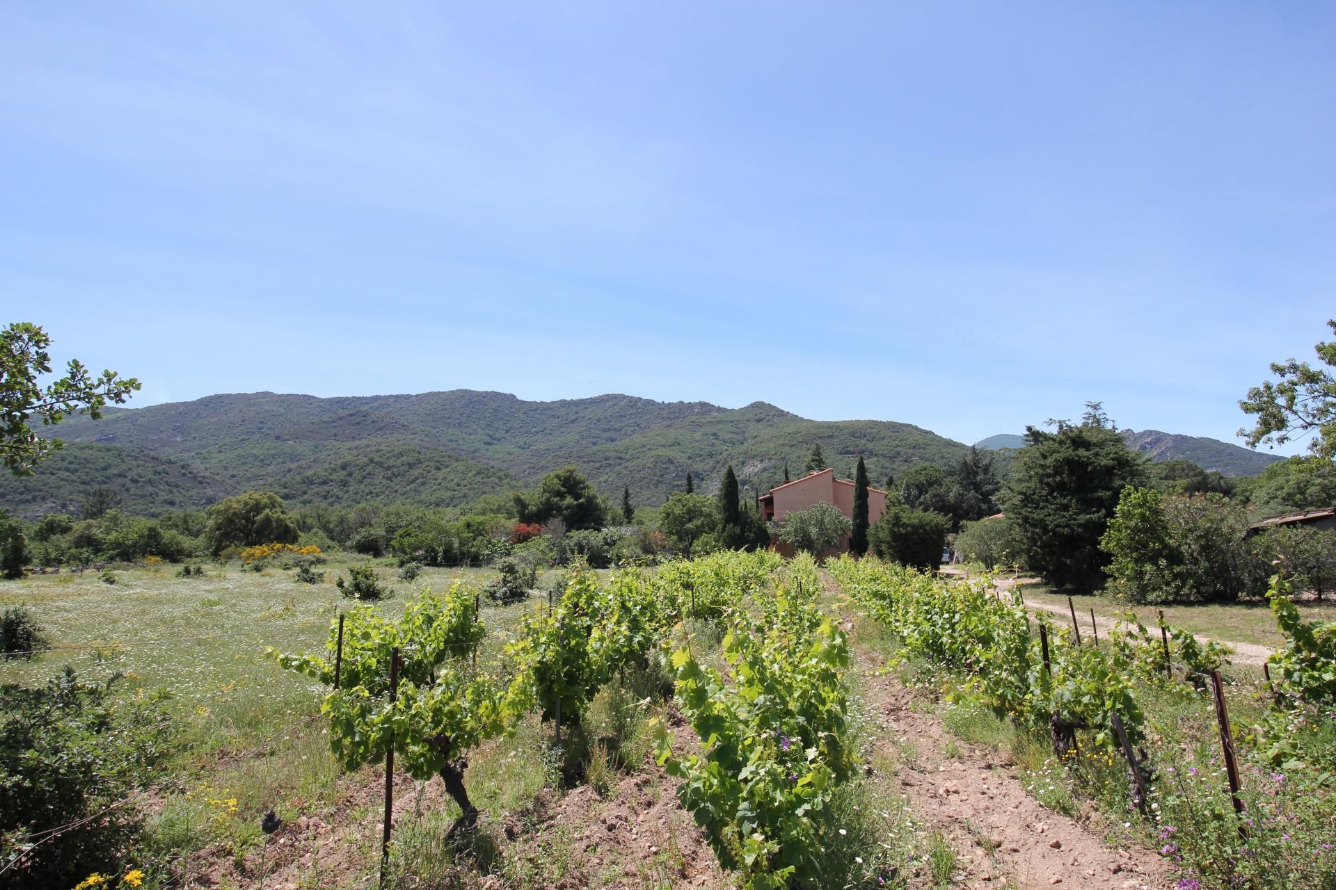 Photo 11 of the listing.