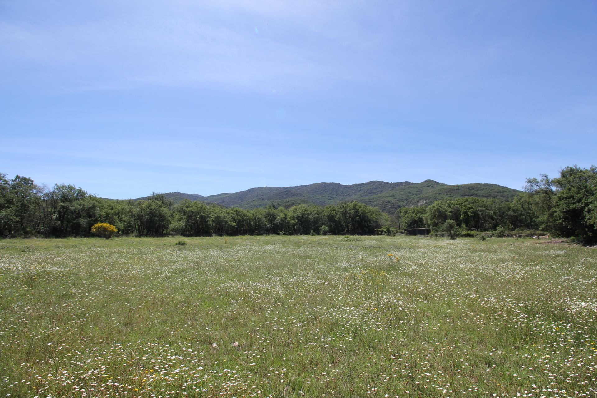 Photo 21 of the listing.