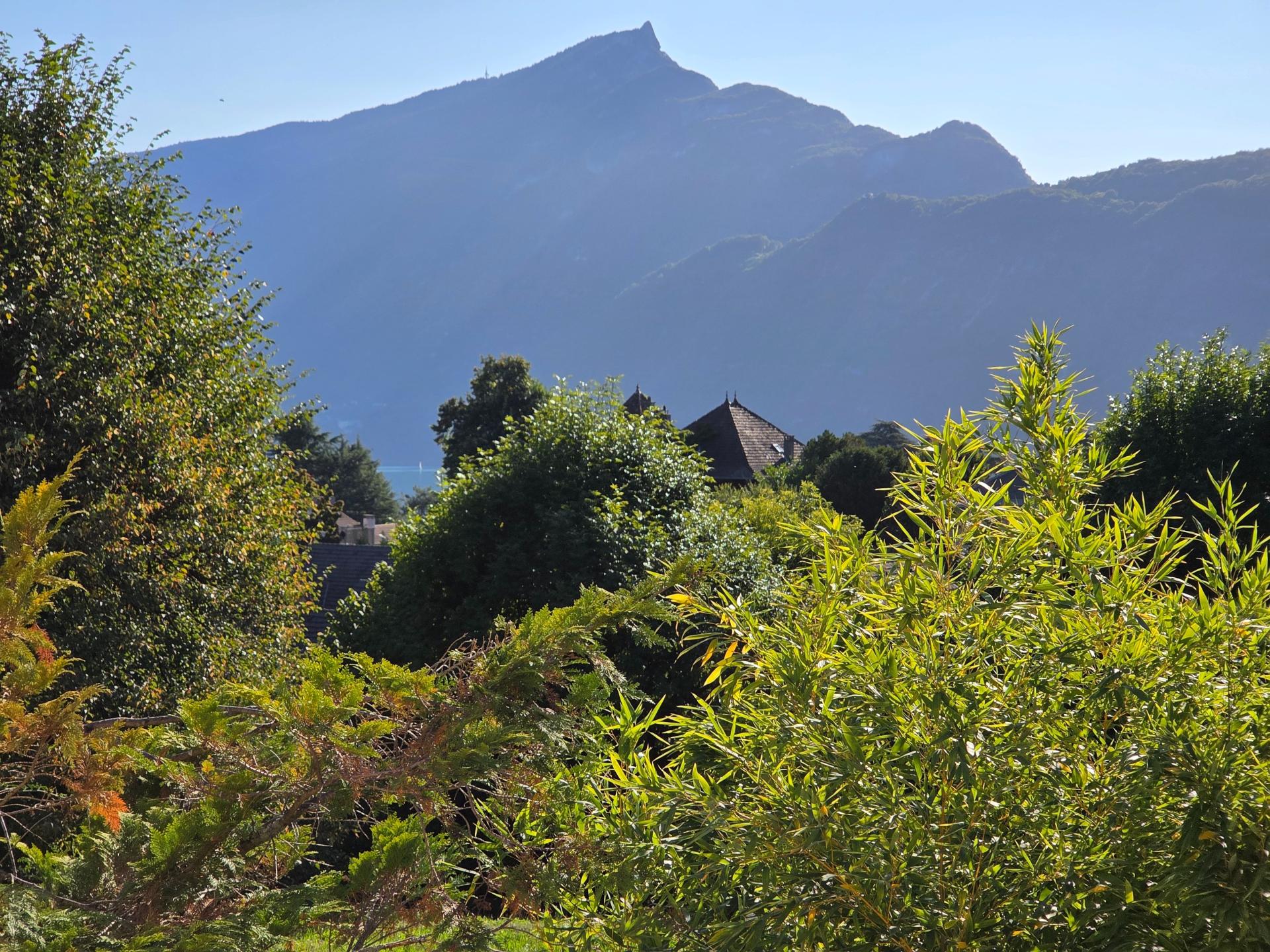 Photo 11 de l'annonce.