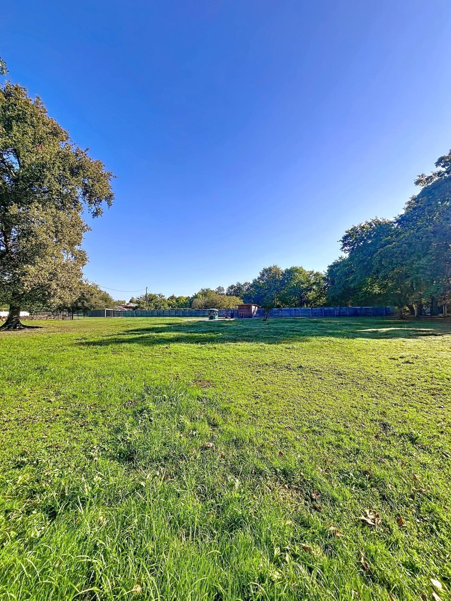 Photo 3 de l'annonce.