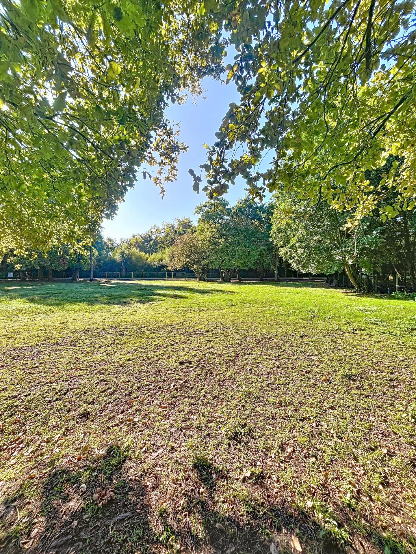 Photo 2 de l'annonce.