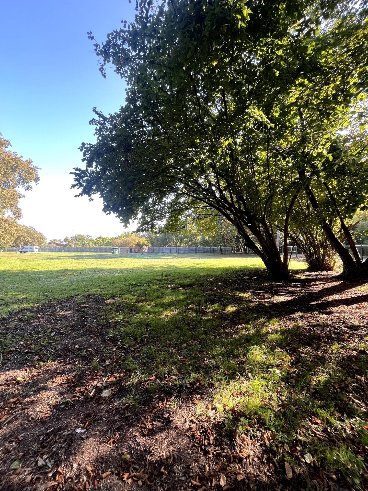 Photo 4 de l'annonce.