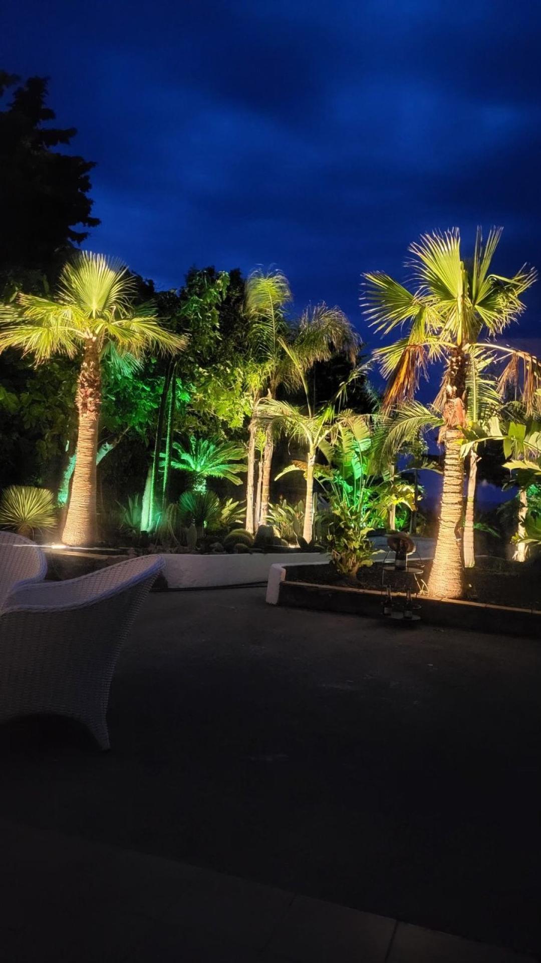 Photo 12 of the listing.