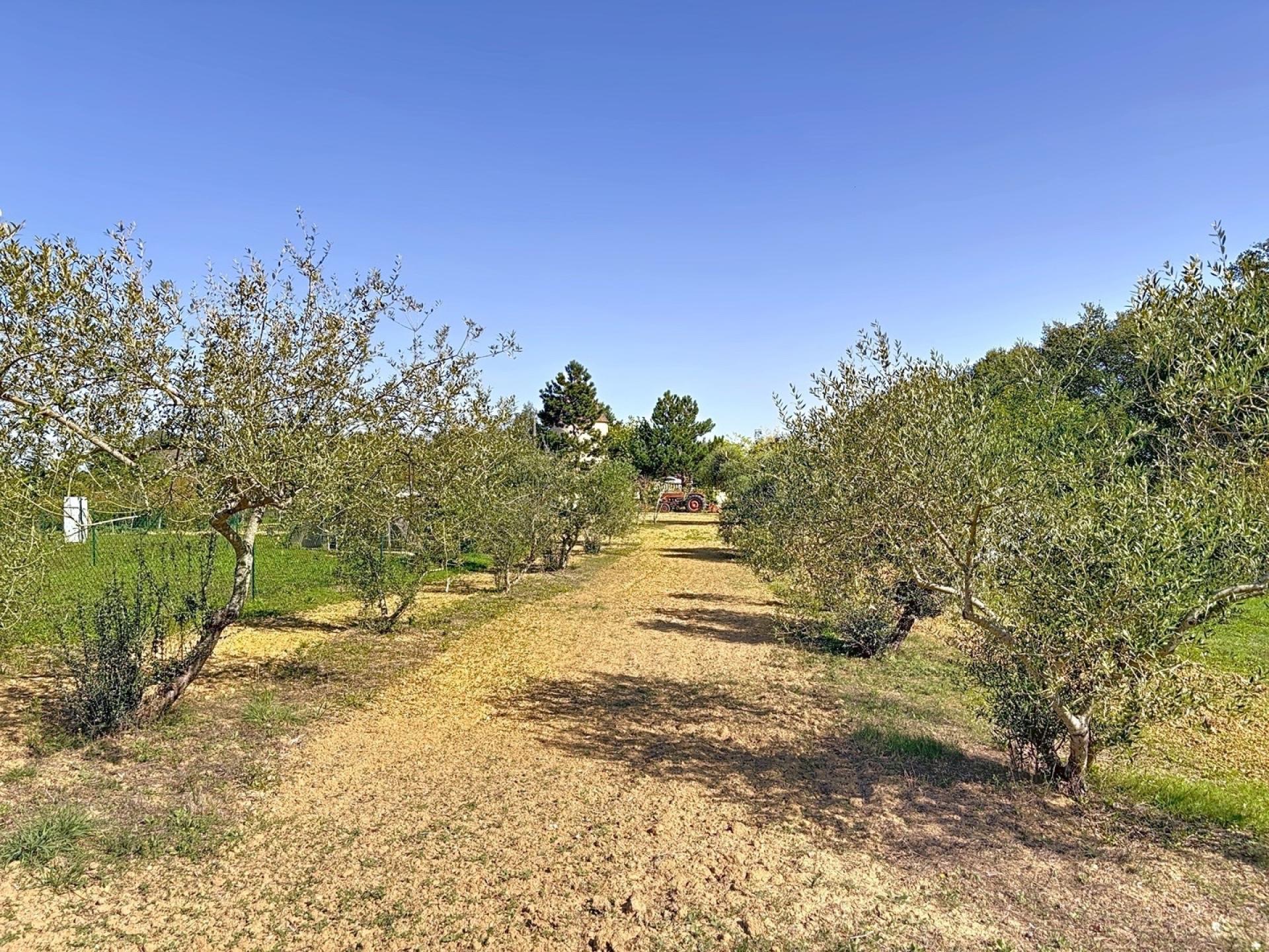 Photo 9 de l'annonce.