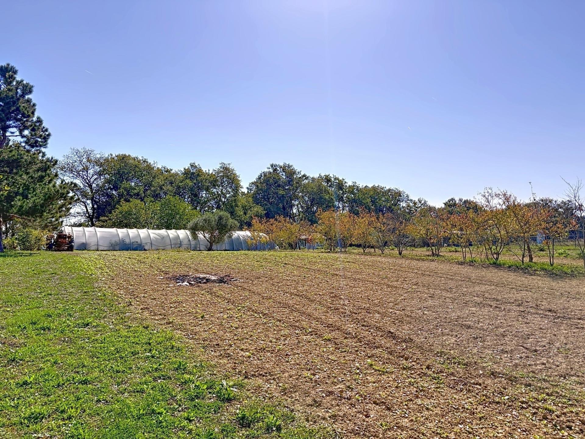 Photo 10 de l'annonce.