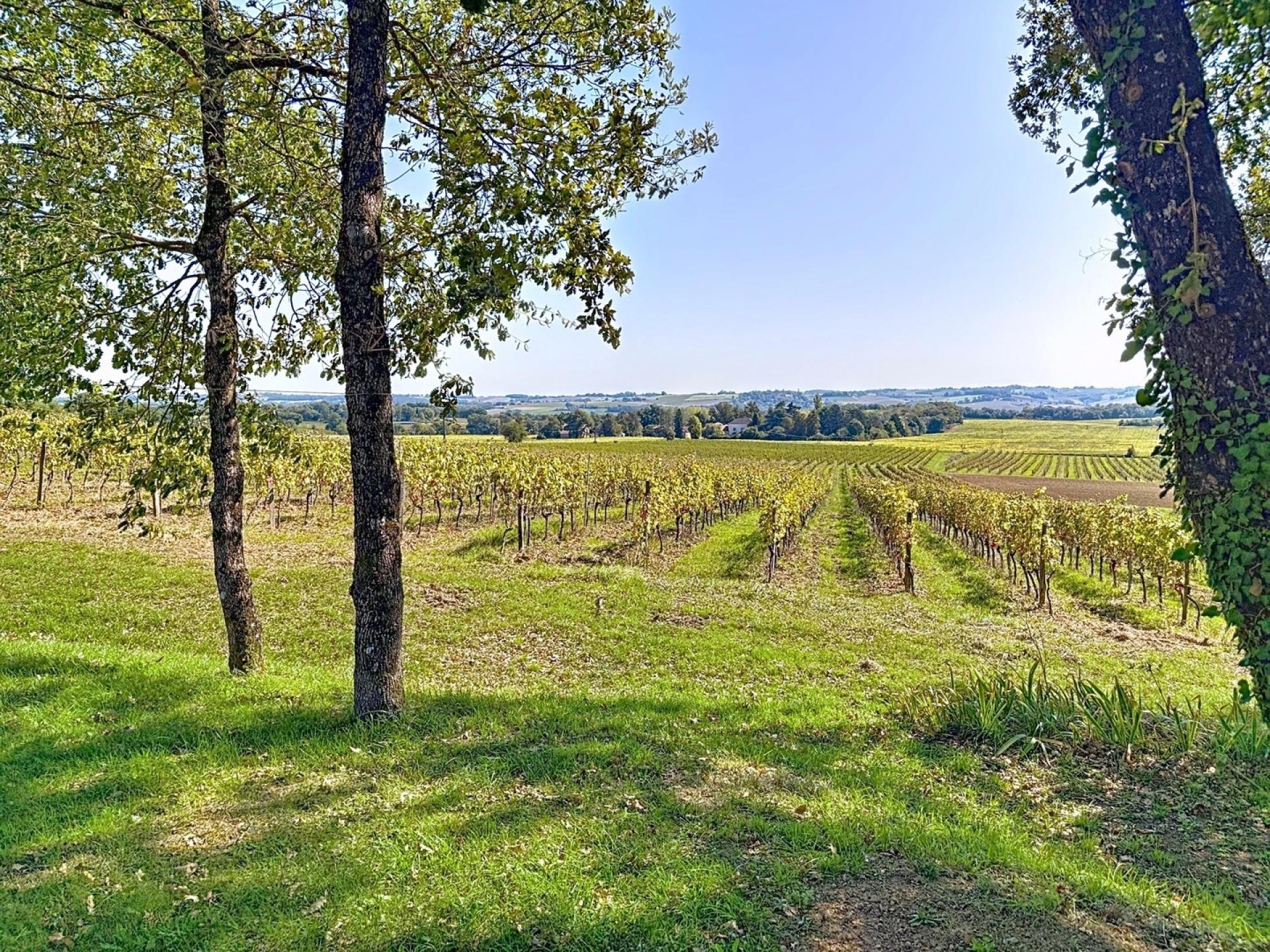 Photo 11 de l'annonce.