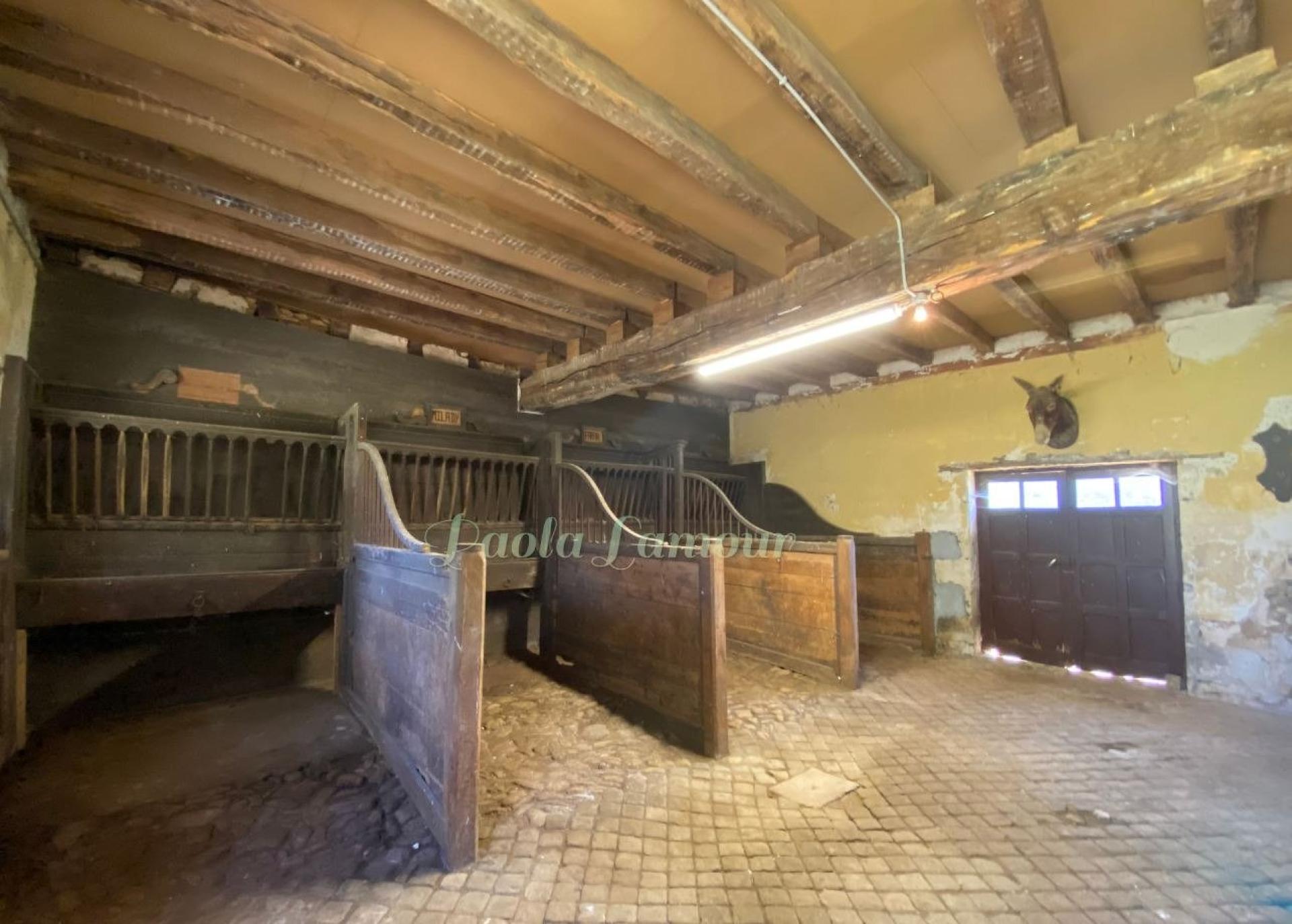 Photo 21 de l'annonce.