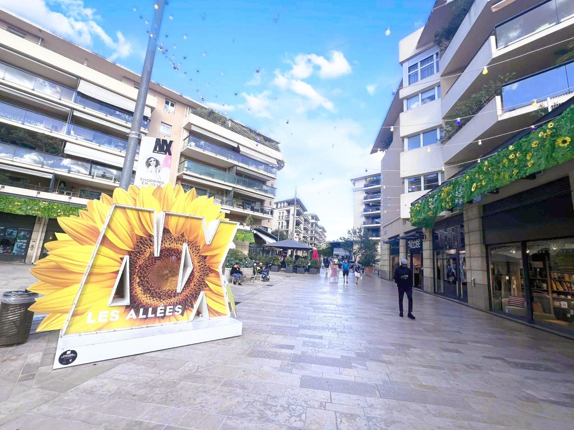 Photo 11 of the listing.