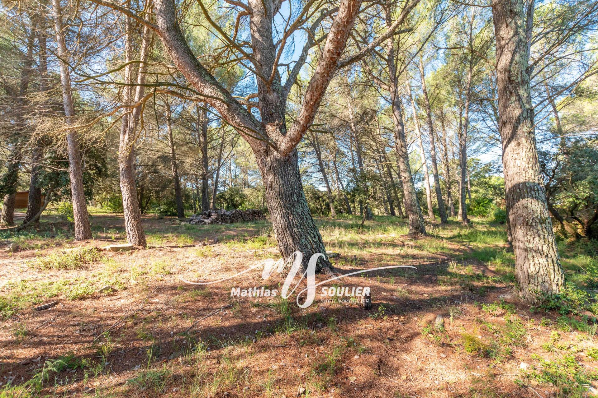 Photo 27 of the listing.