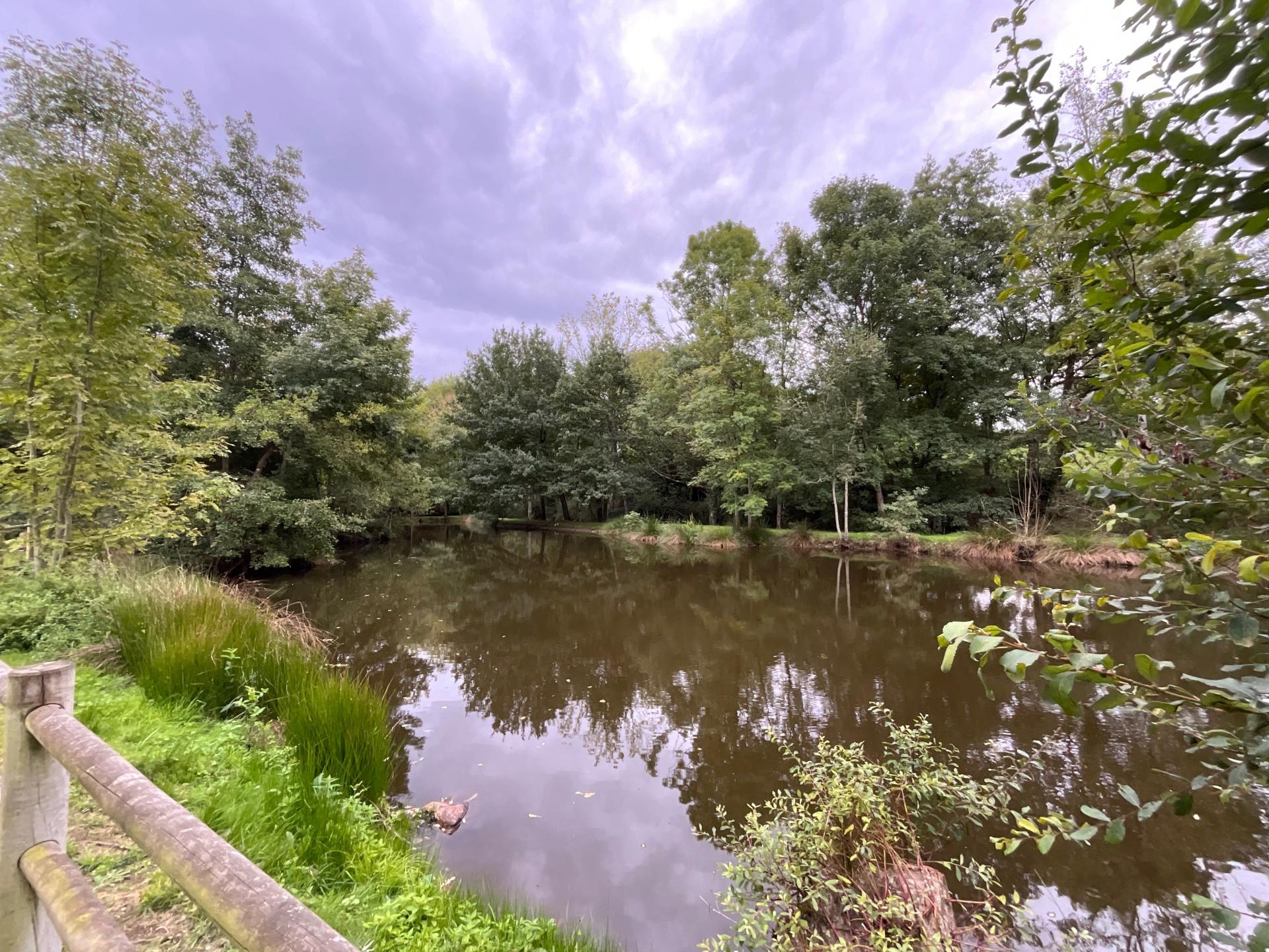 Photo 17 de l'annonce.