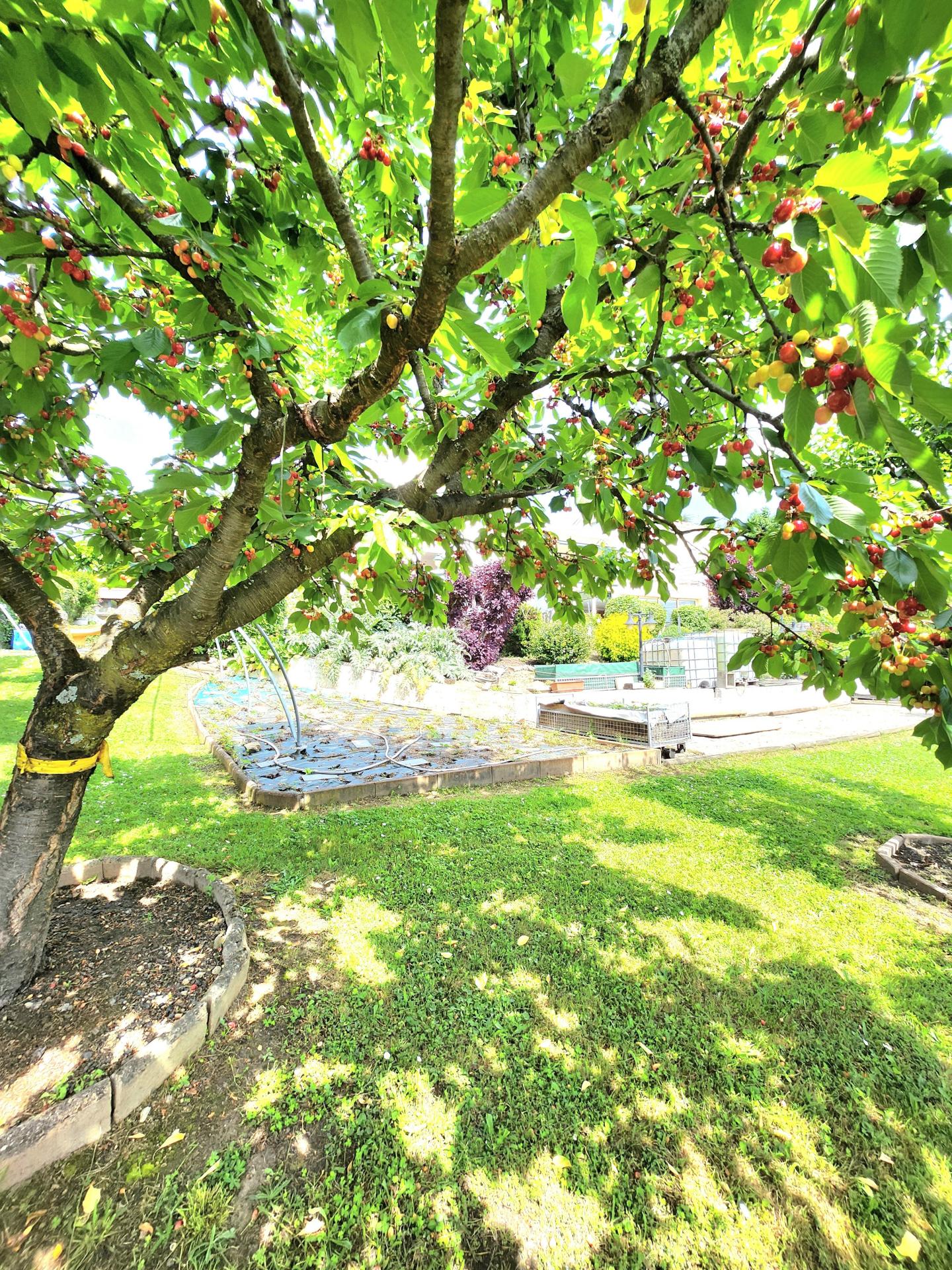 Photo 5 de l'annonce.