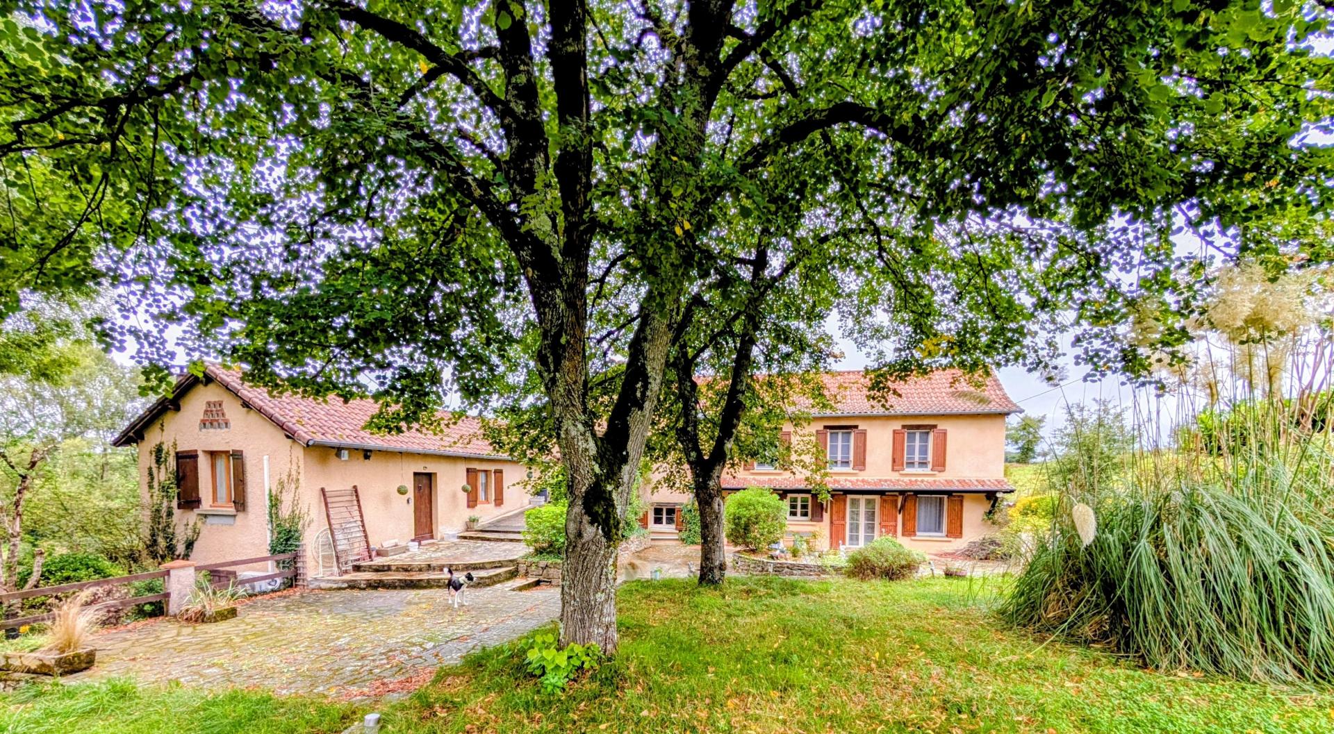 Photo 2 de l'annonce.