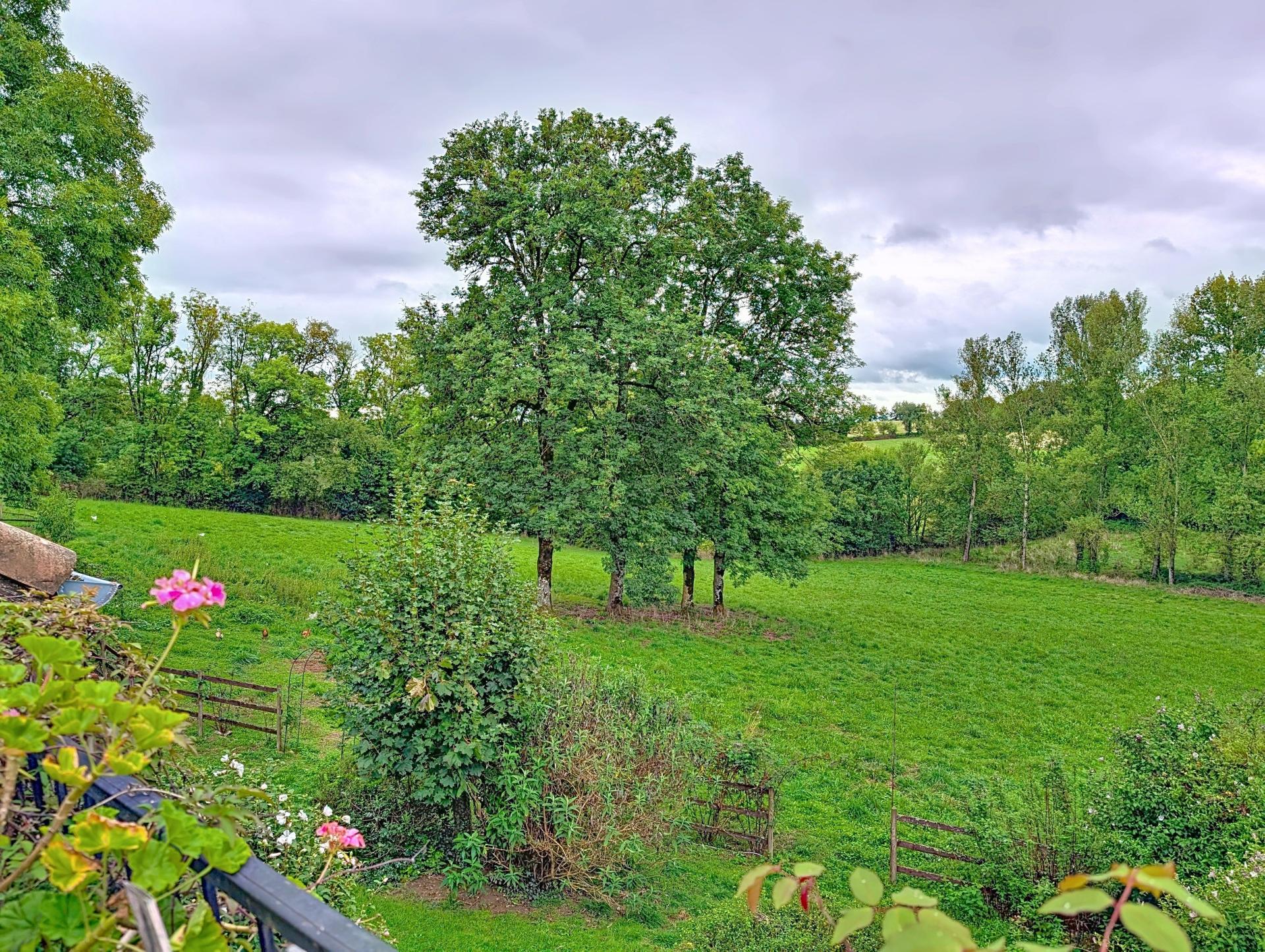 Photo 11 de l'annonce.