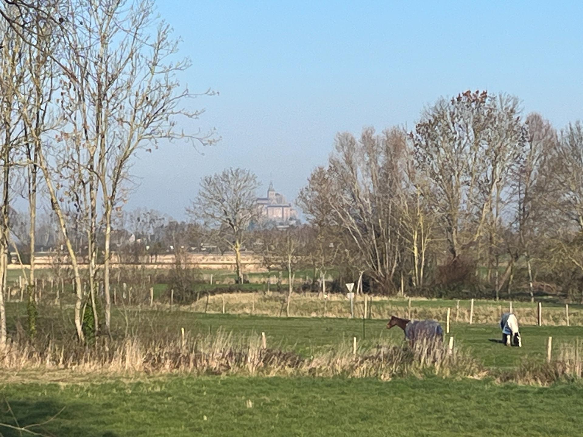 Photo 22 de l'annonce.