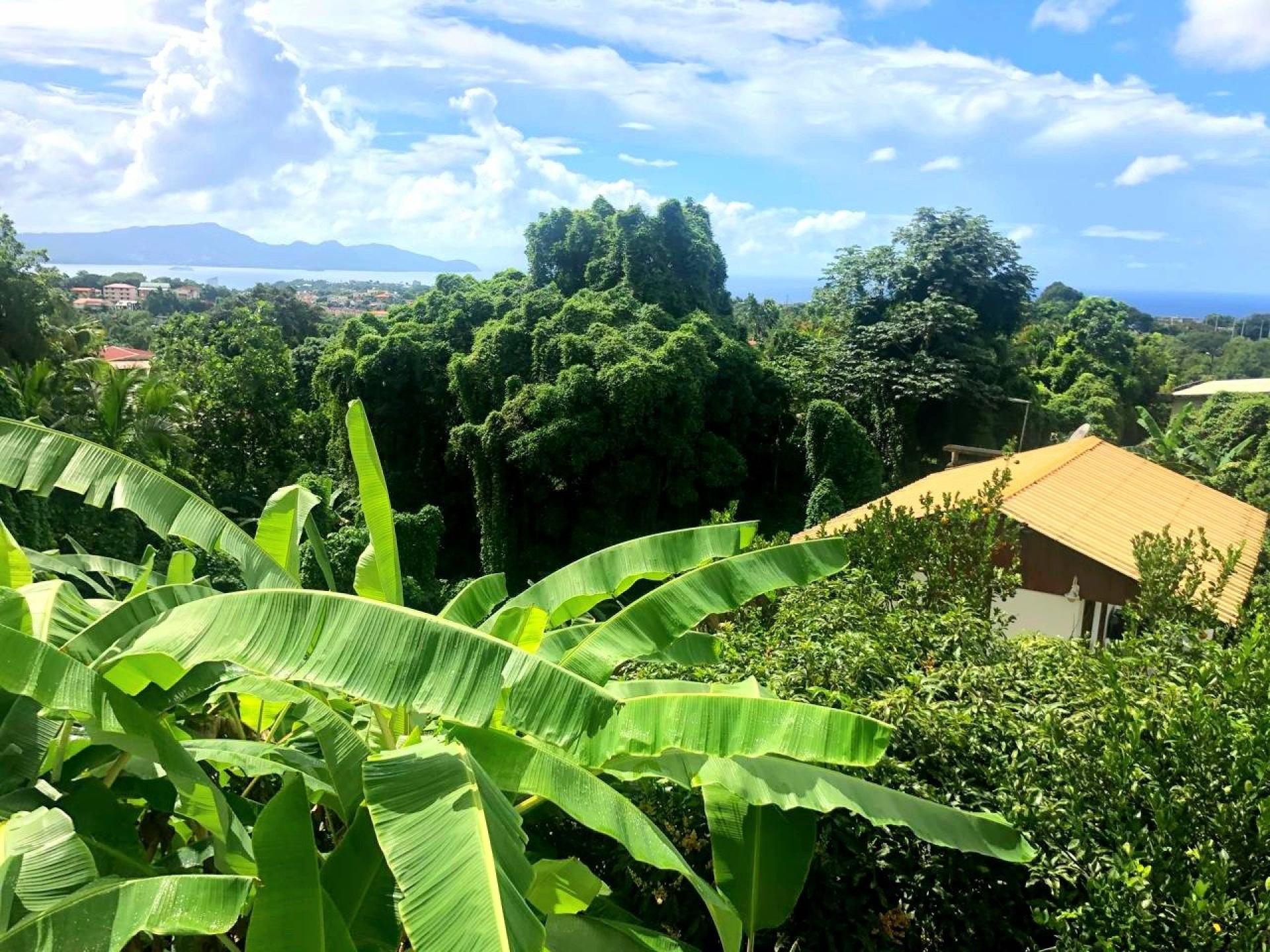 Photo 3 de l'annonce.