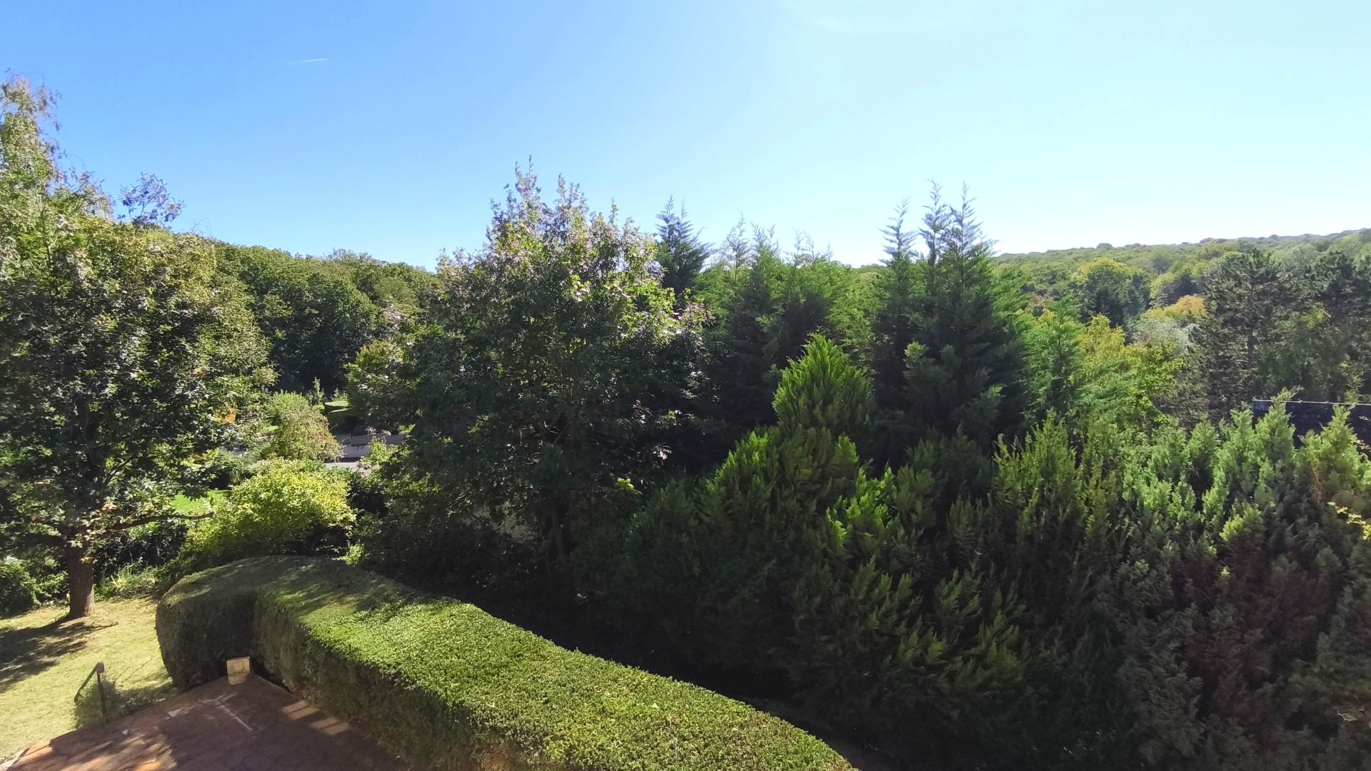 Foto 14 del anuncio.