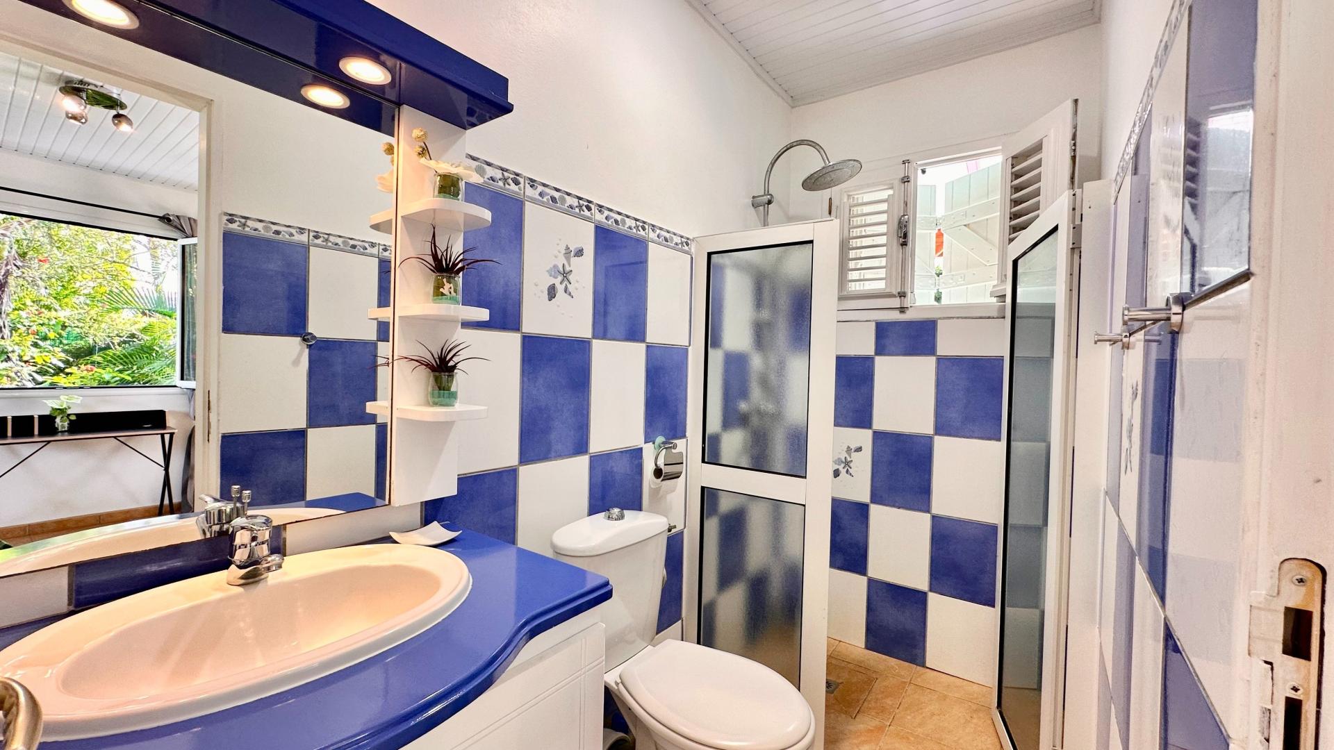 Photo 12 de l'annonce.