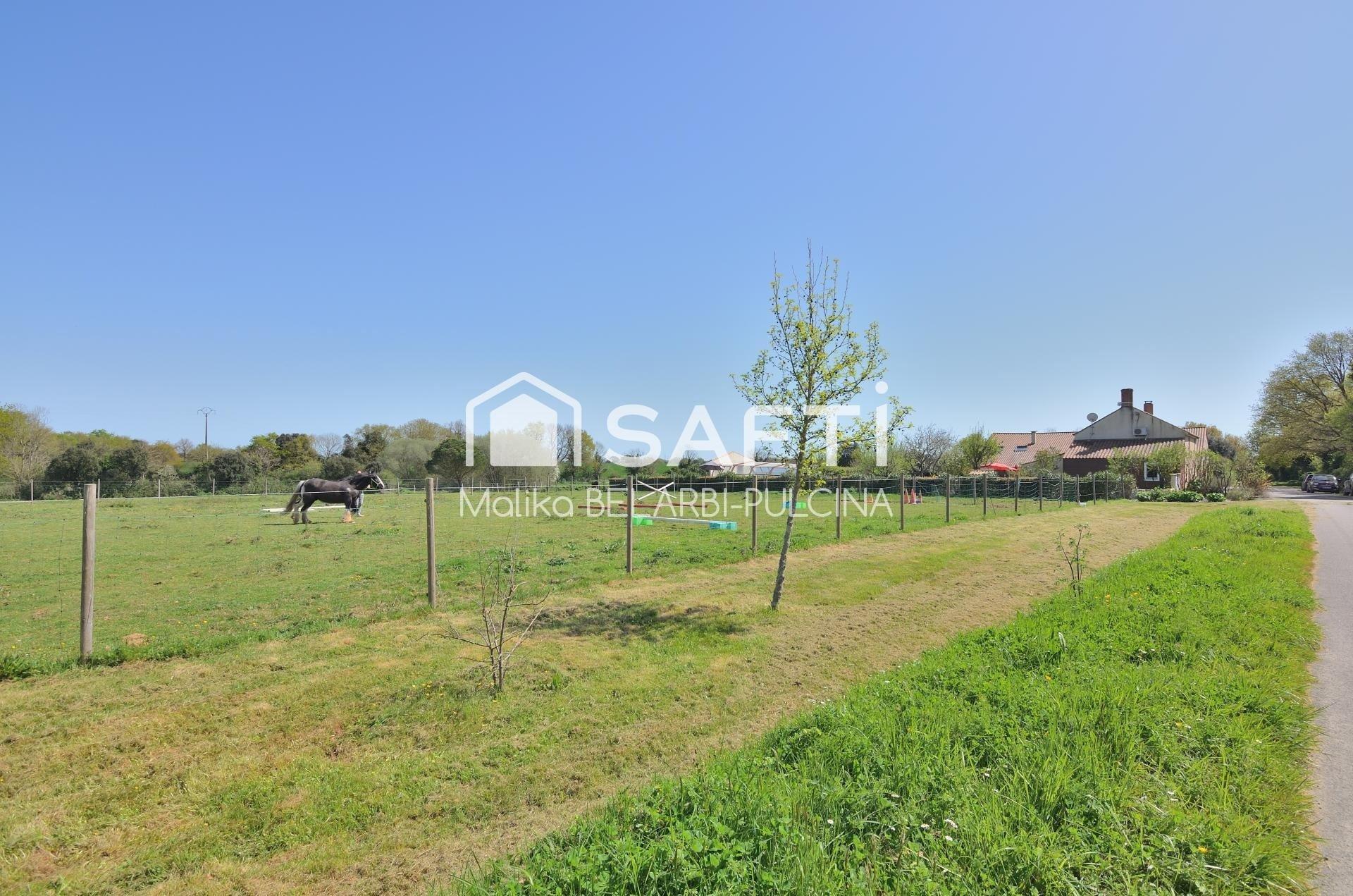 Photo 31 de l'annonce.