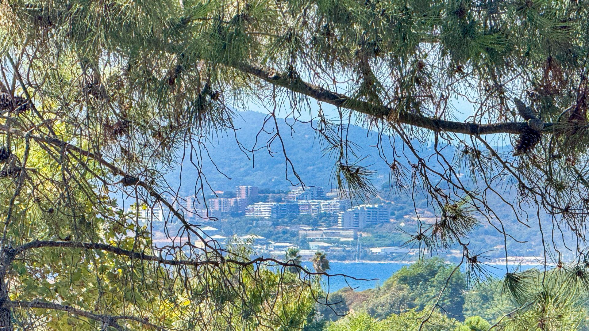 Photo 3 de l'annonce.