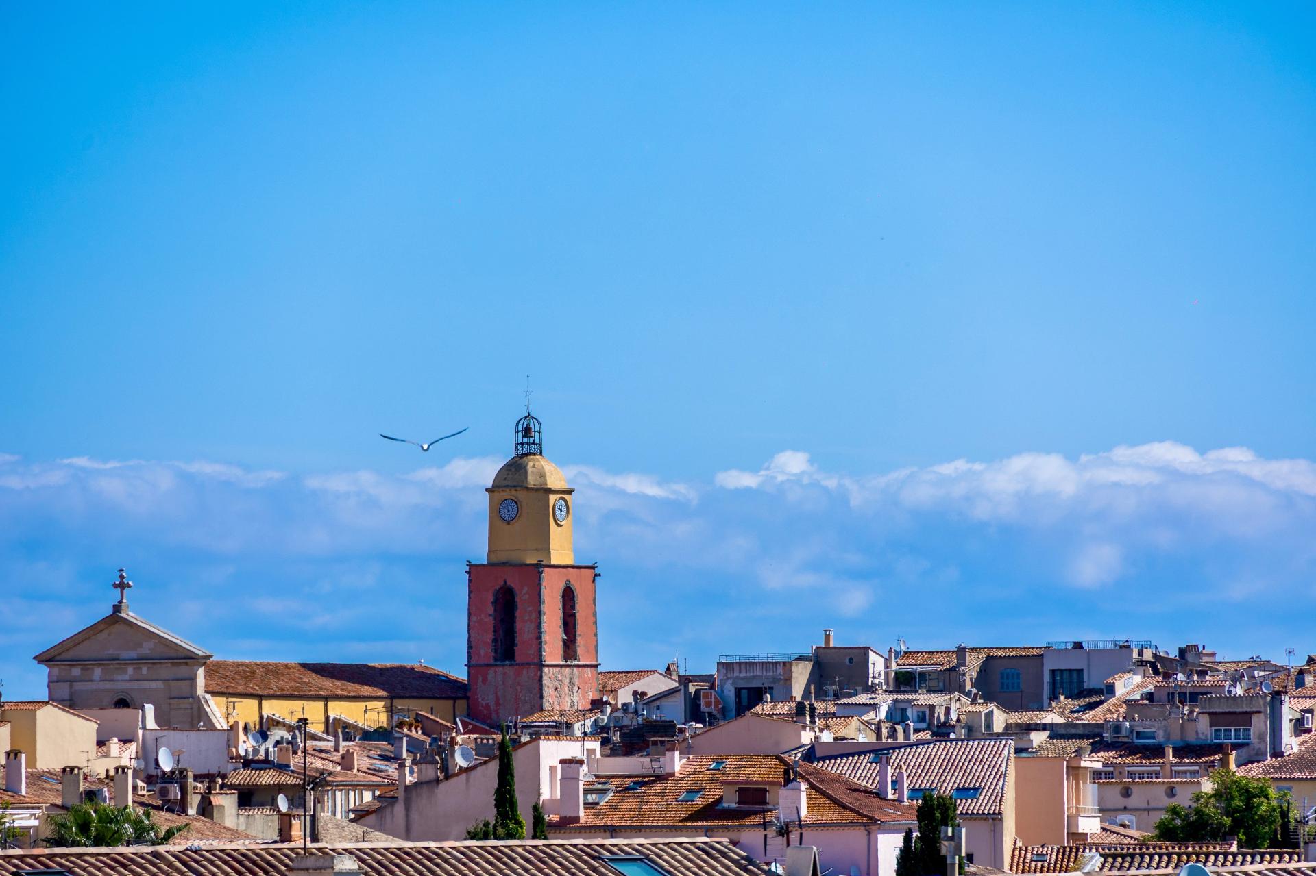 Photo 11 de l'annonce.