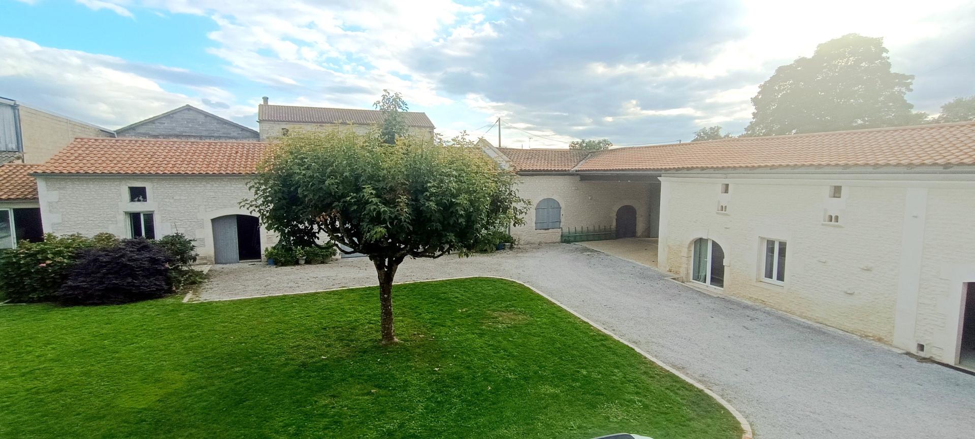 Photo 7 de l'annonce.