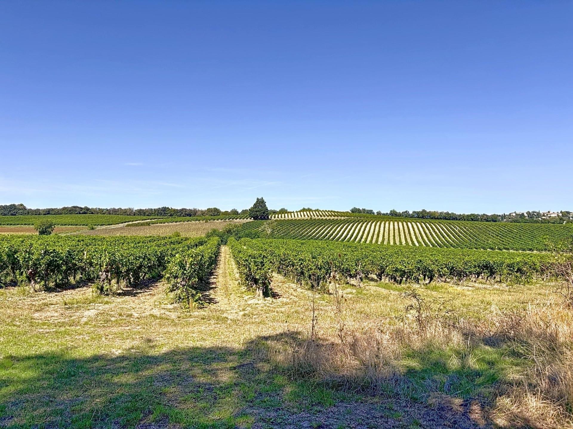 Photo 12 de l'annonce.