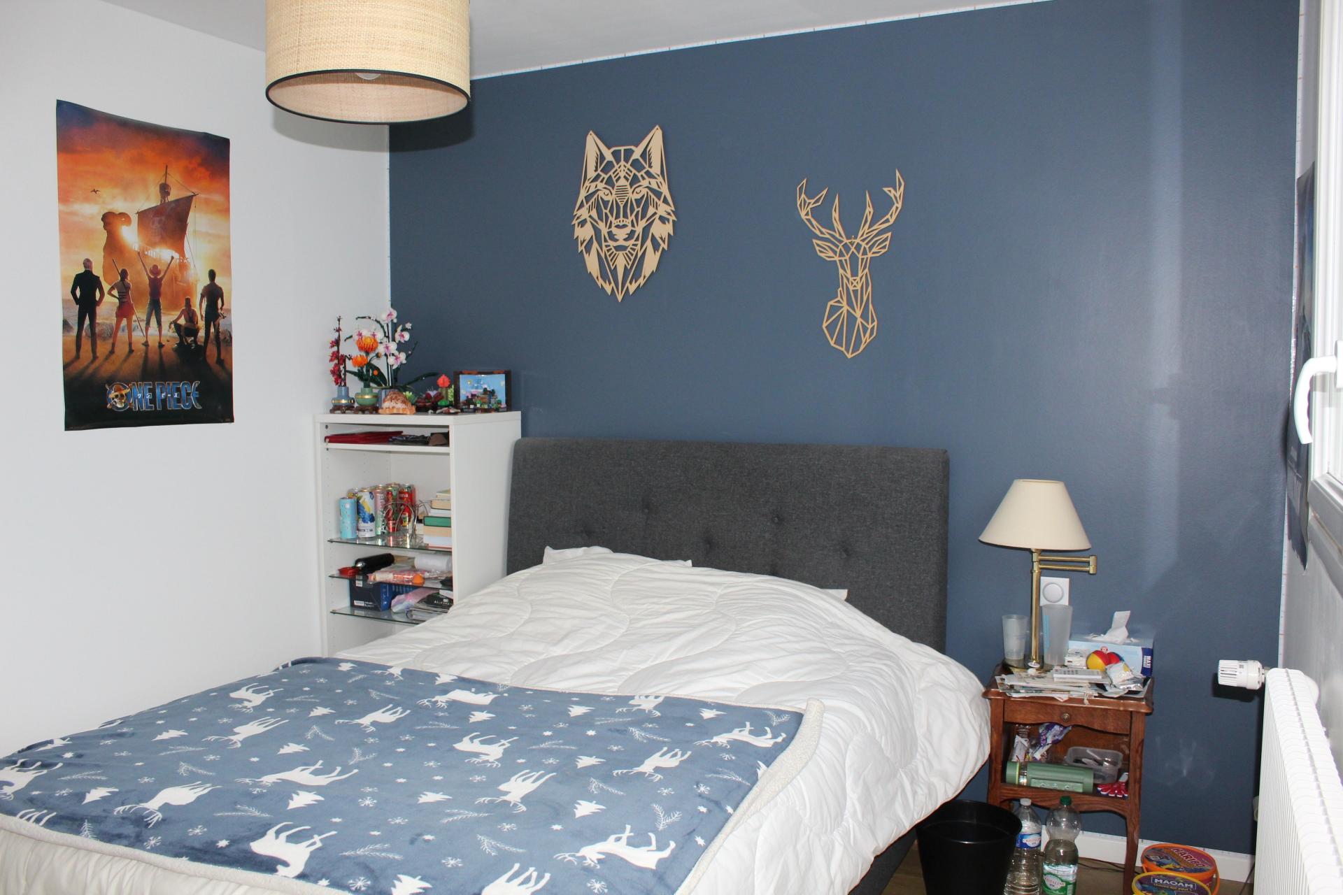 Photo 7 de l'annonce.