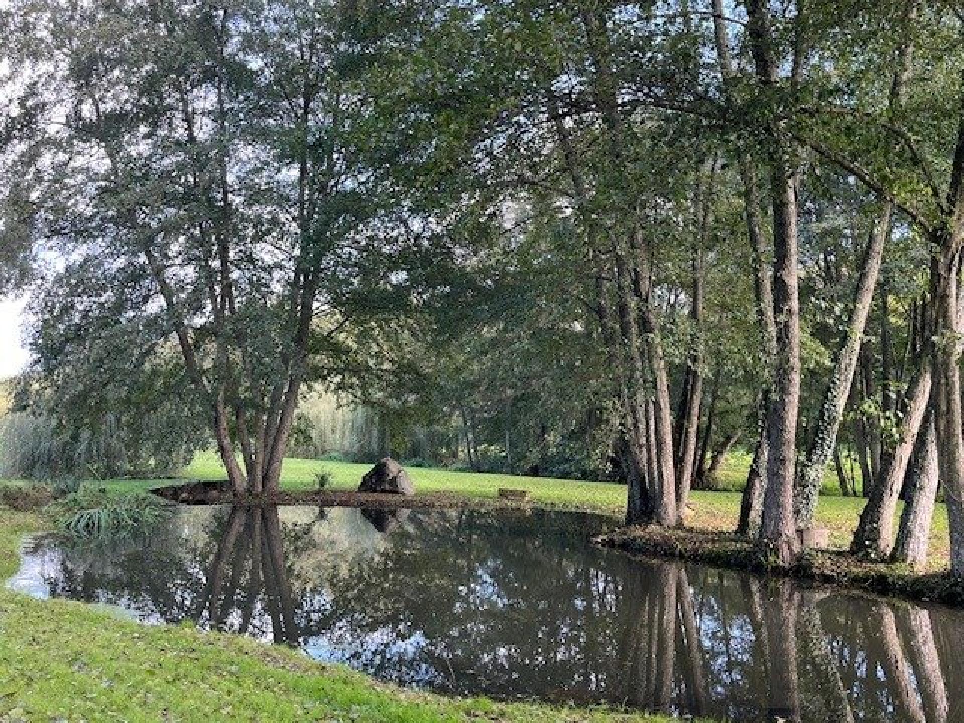 Photo 3 de l'annonce.