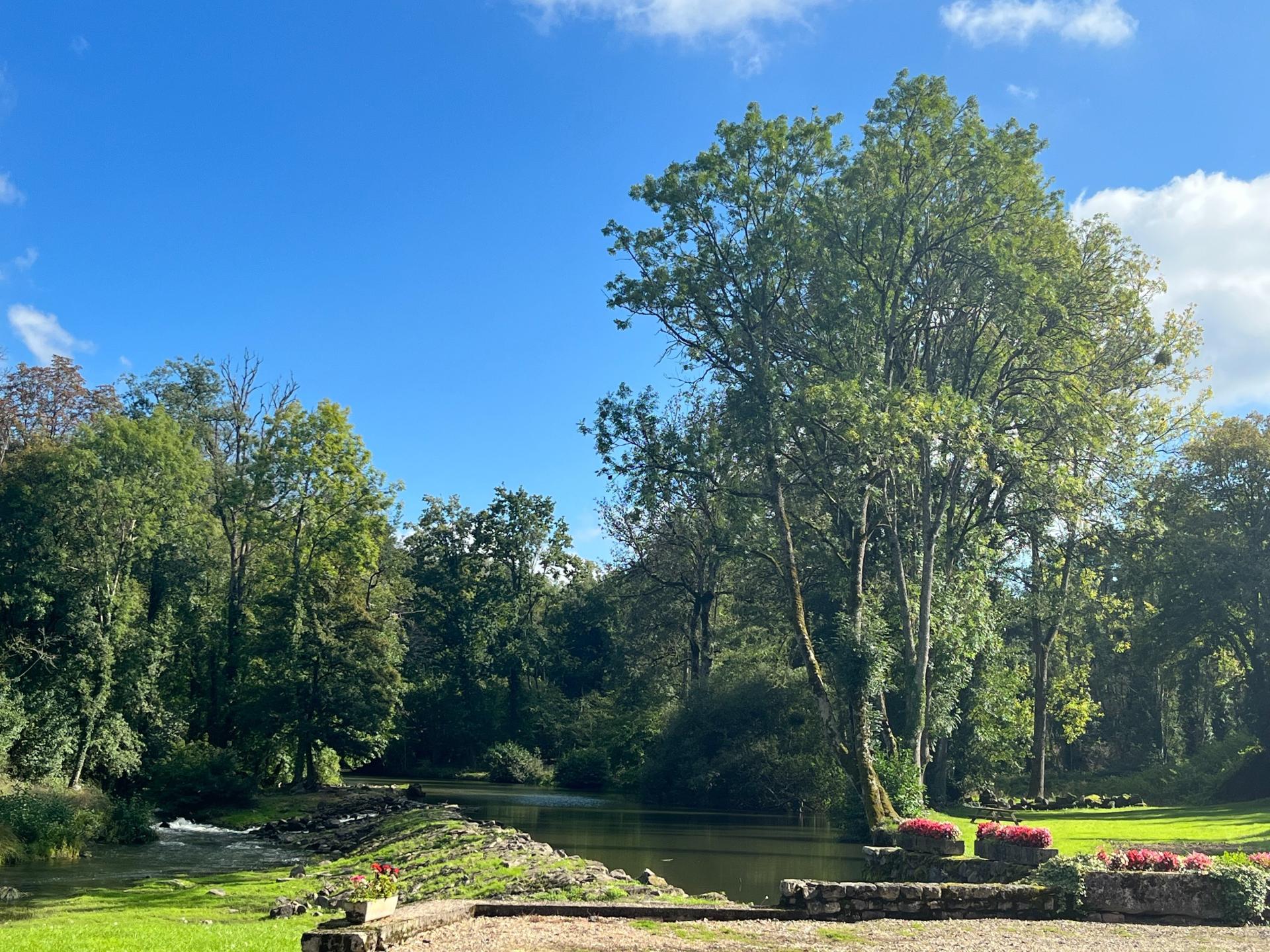 Photo 4 de l'annonce.