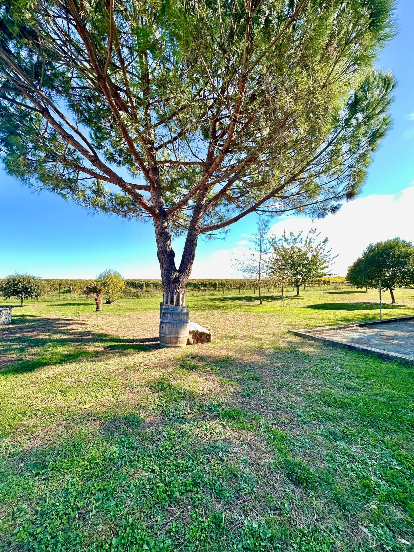 Photo 20 de l'annonce.