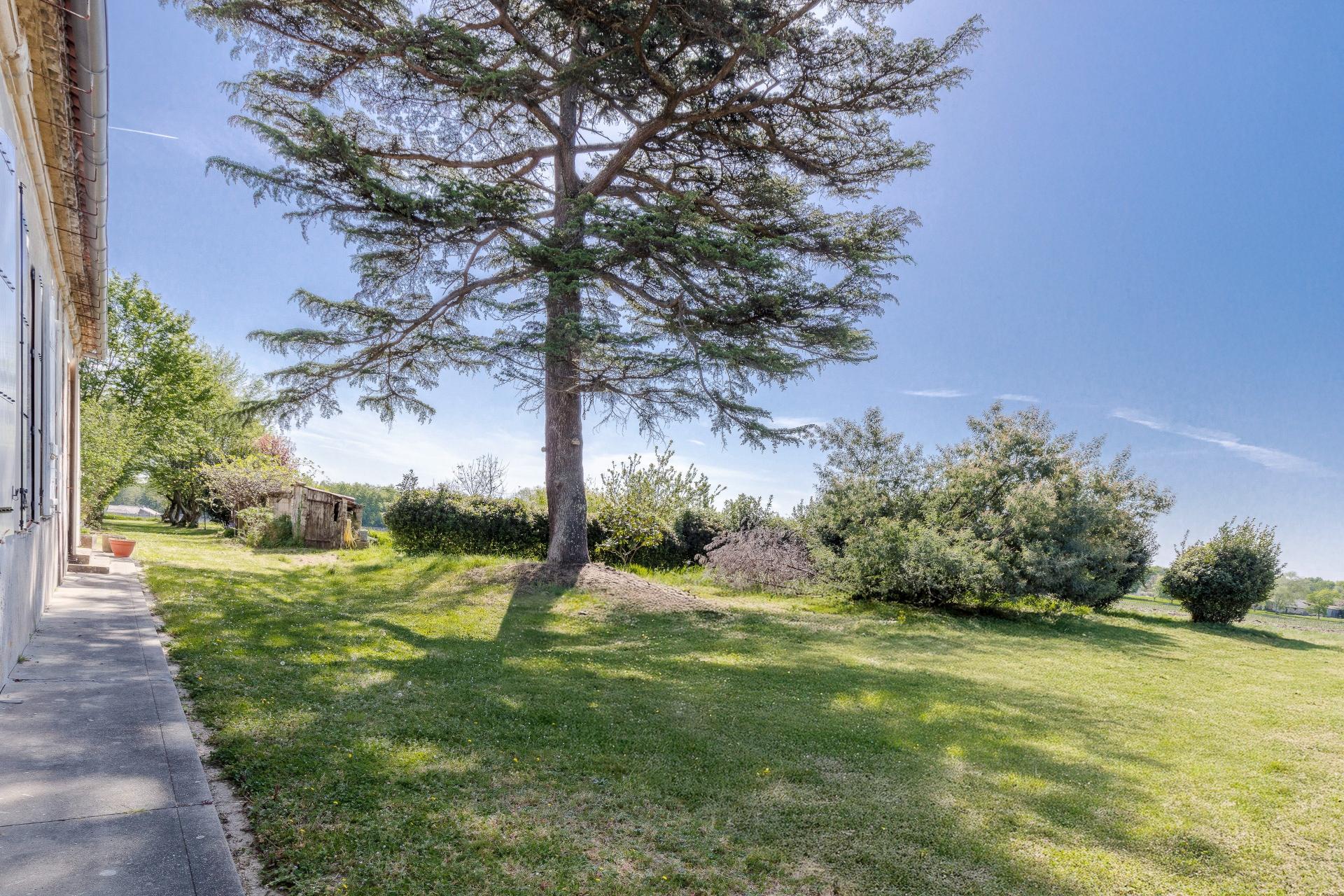 Photo 8 de l'annonce.