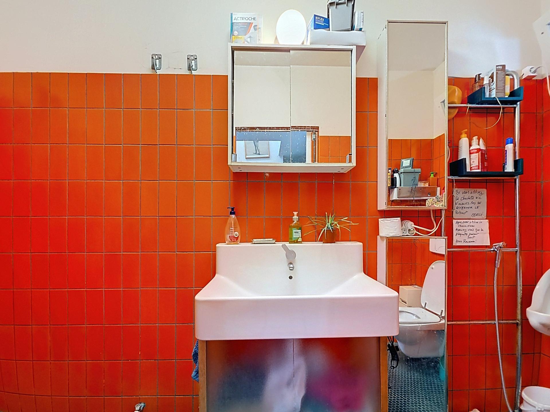 Photo 7 de l'annonce.