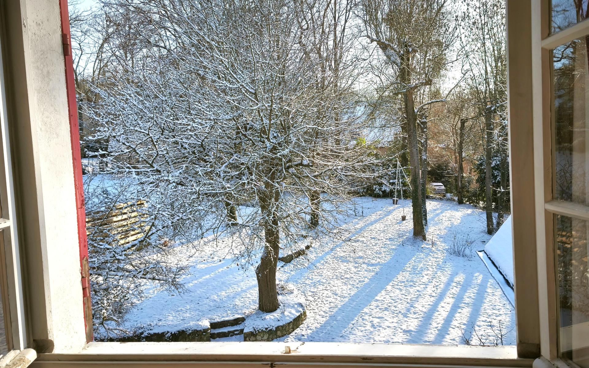 Photo 13 de l'annonce.