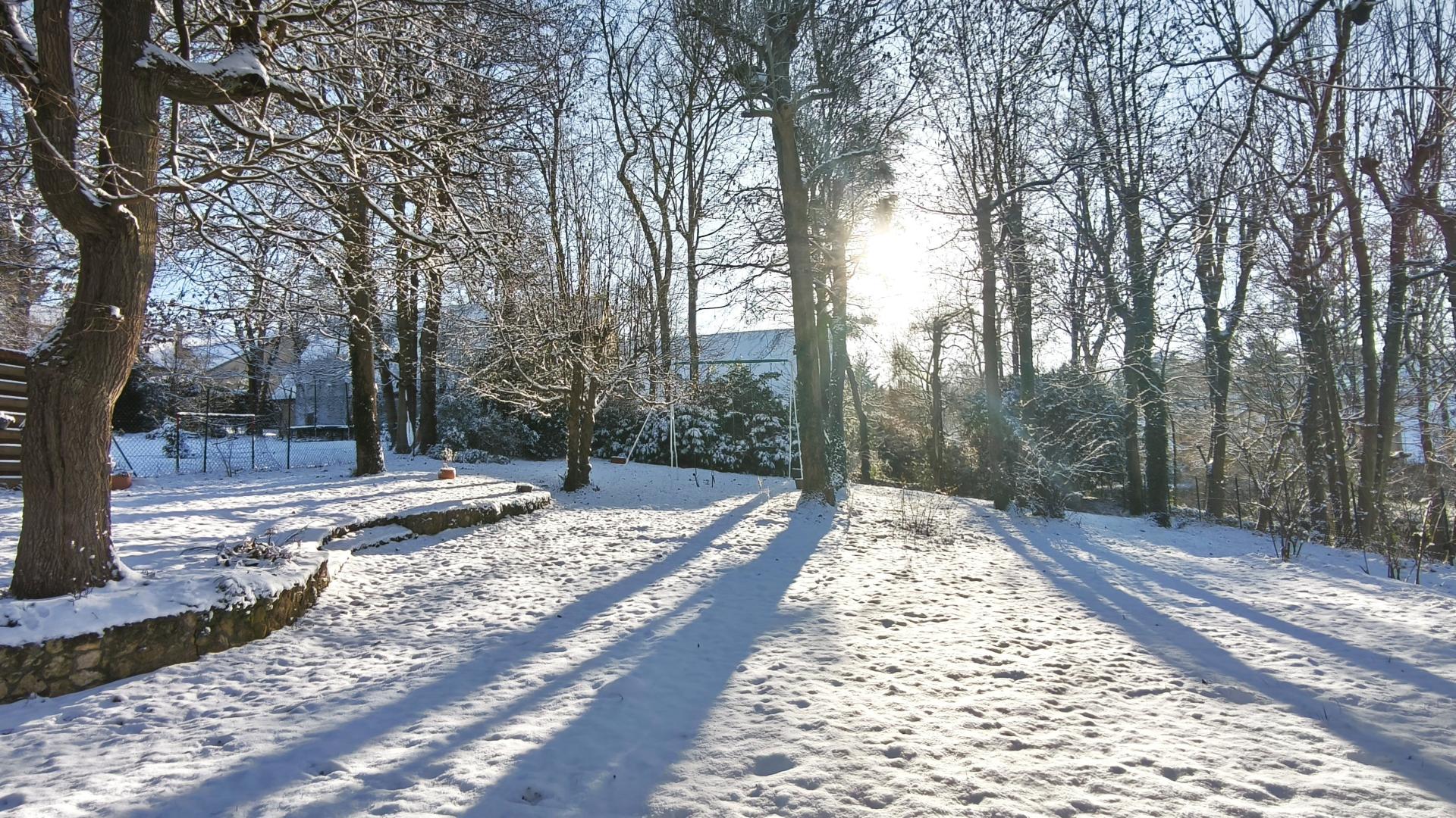 Photo 2 de l'annonce.