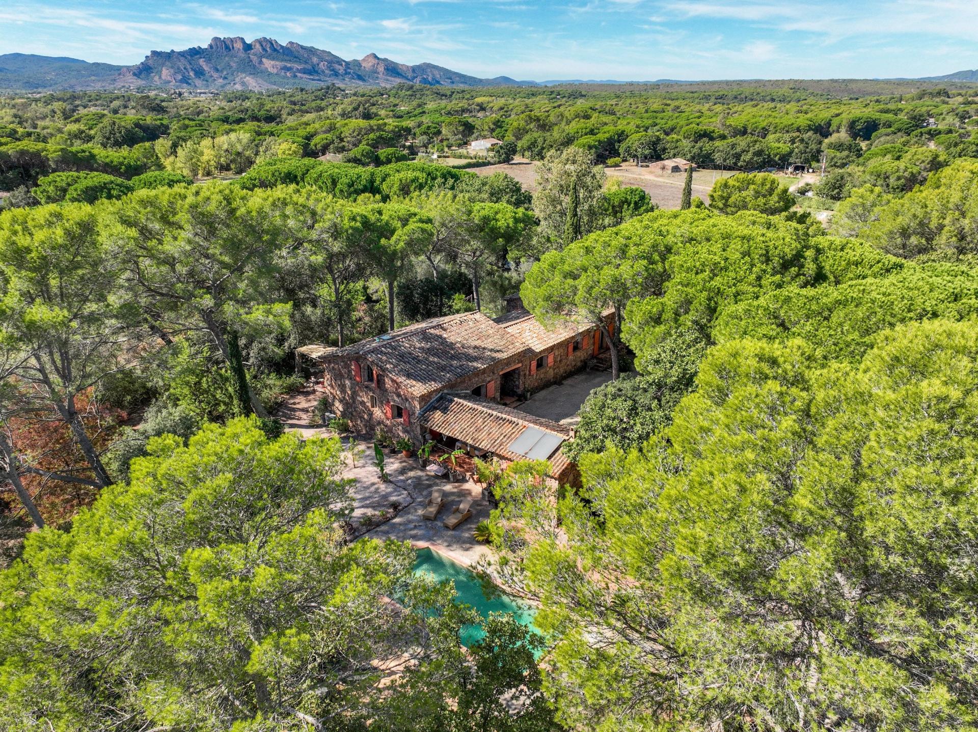 Photo 3 de l'annonce.