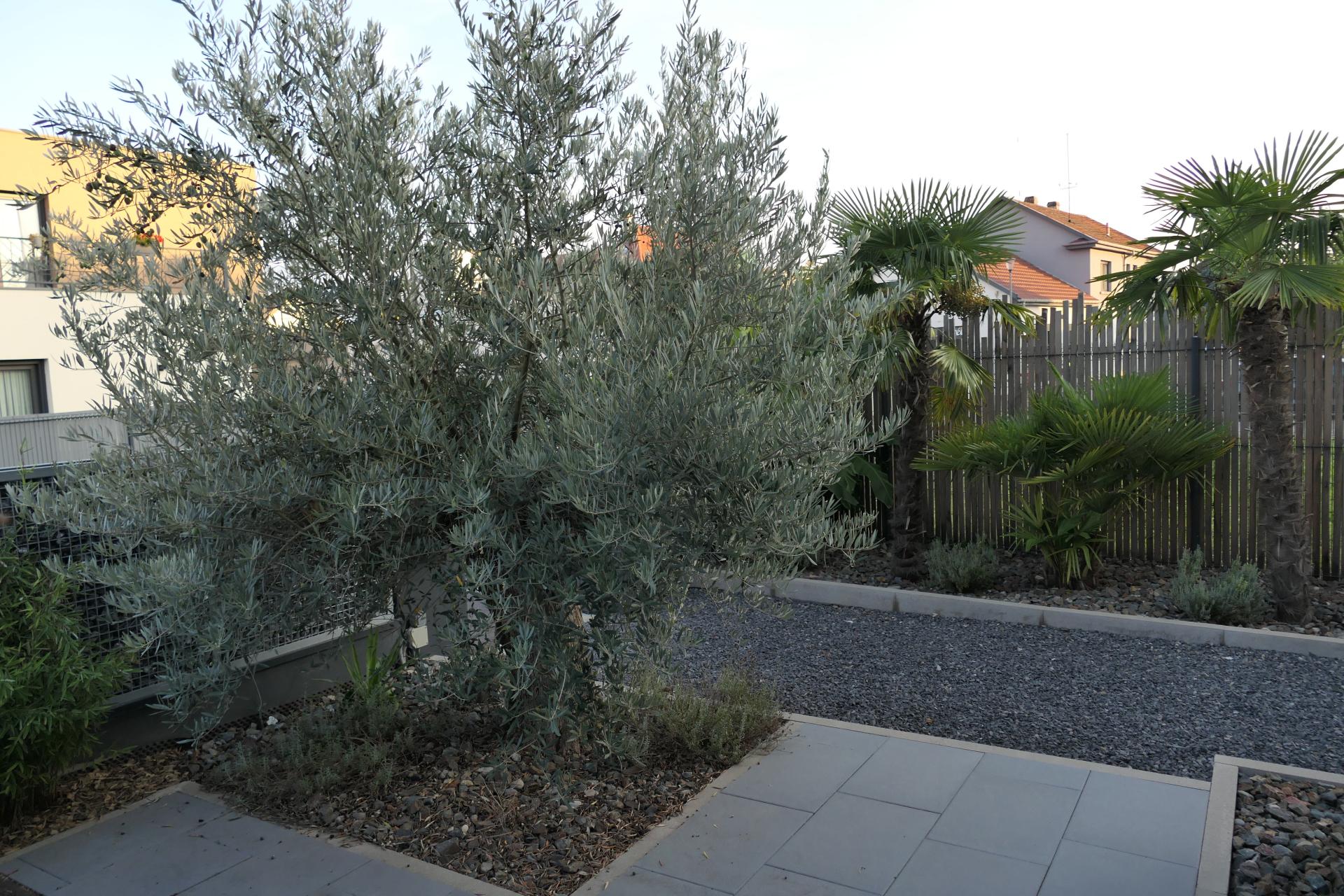 Photo 6 de l'annonce.