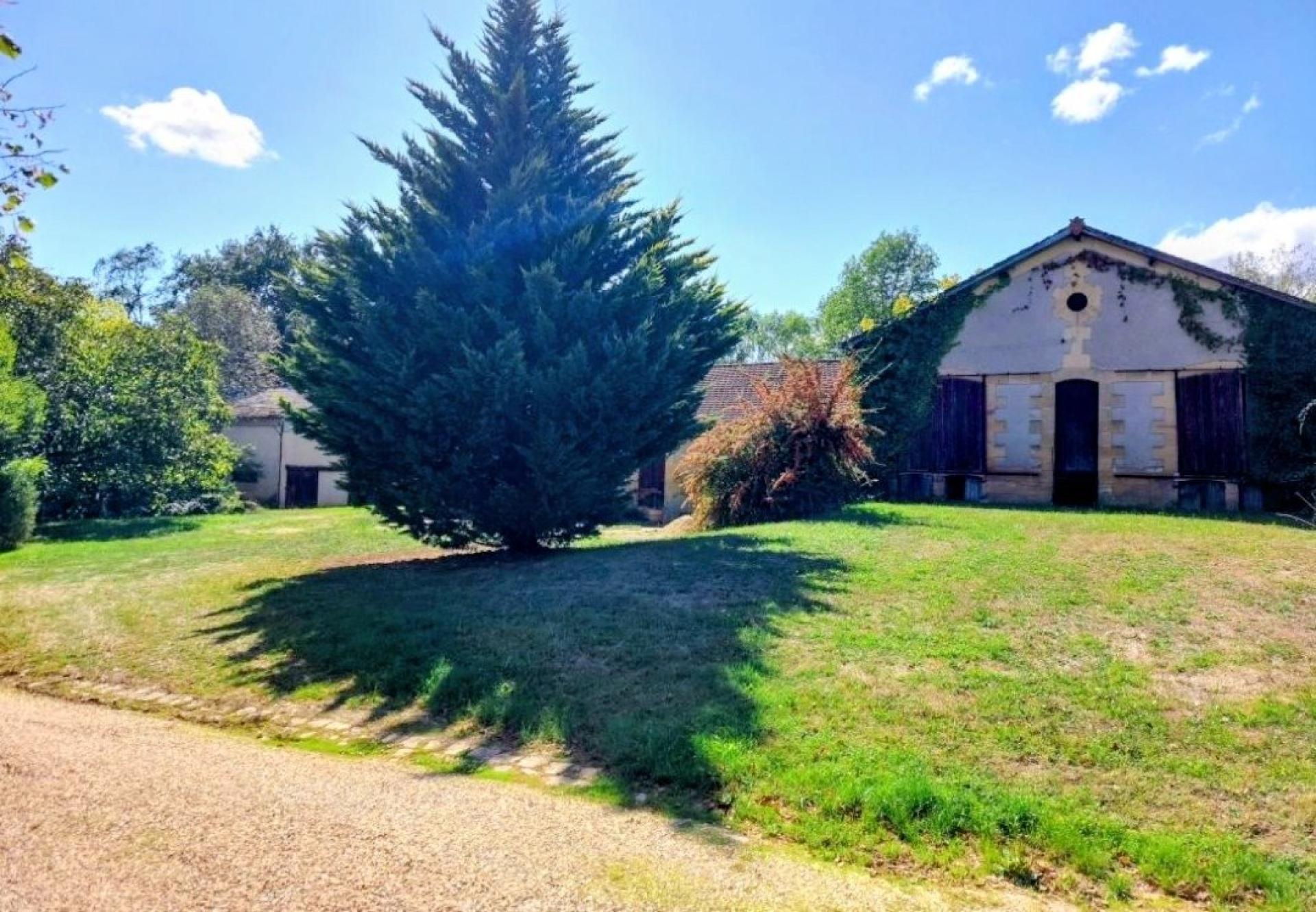 Photo 5 de l'annonce.