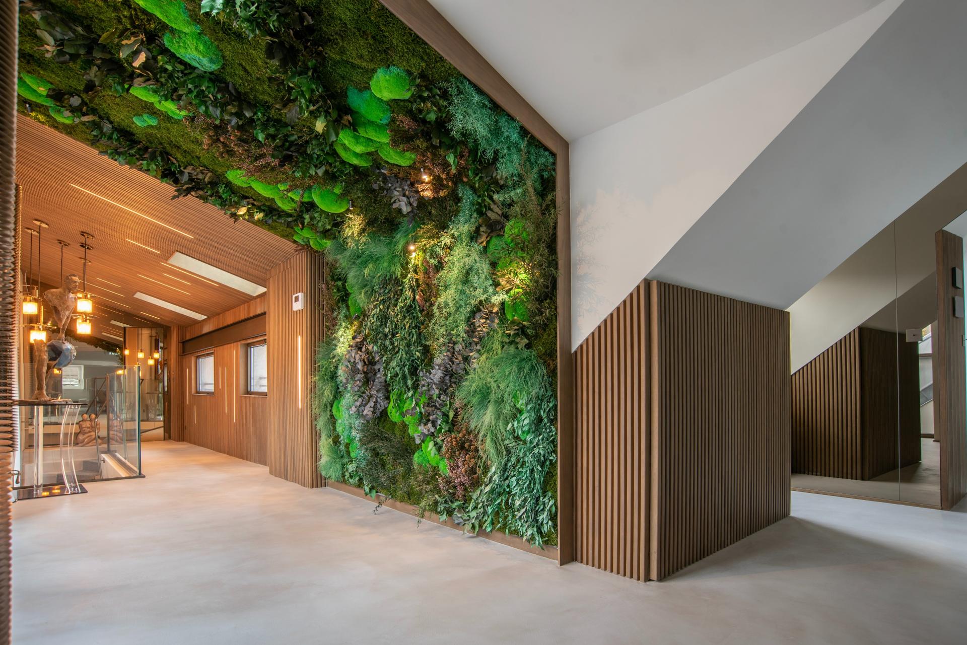 Photo 2 de l'annonce.