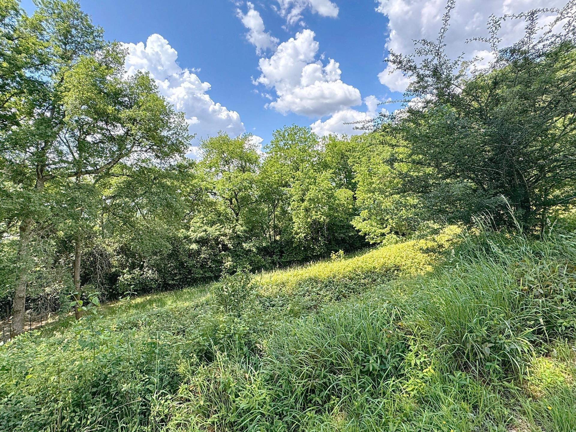 Photo 17 de l'annonce.