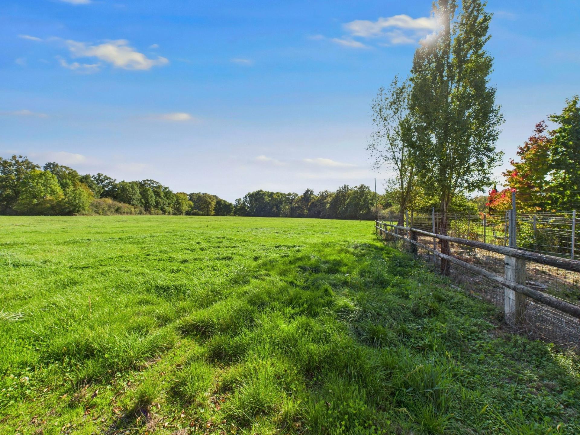 Photo 5 de l'annonce.