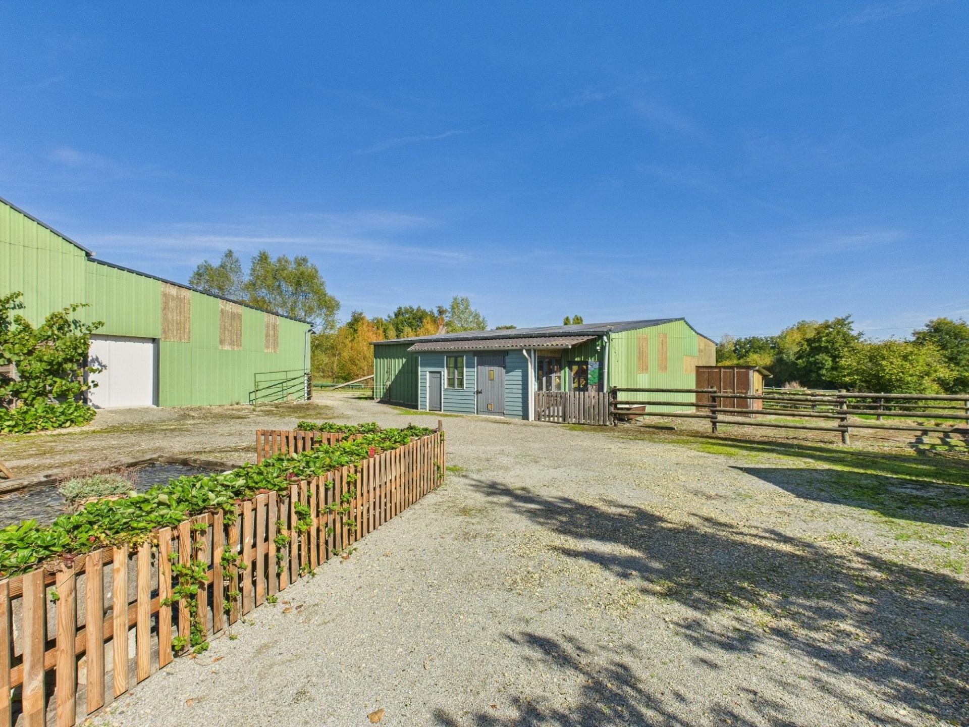 Photo 4 de l'annonce.