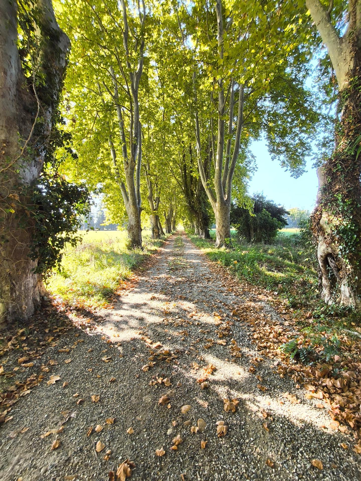 Photo 10 of the listing.