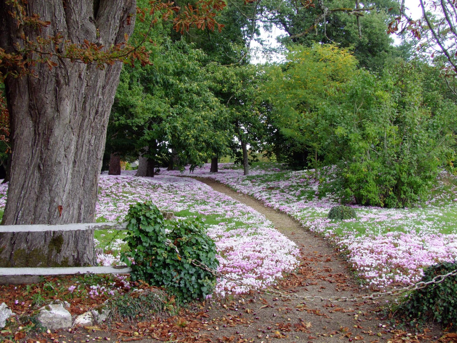 Photo 10 de l'annonce.