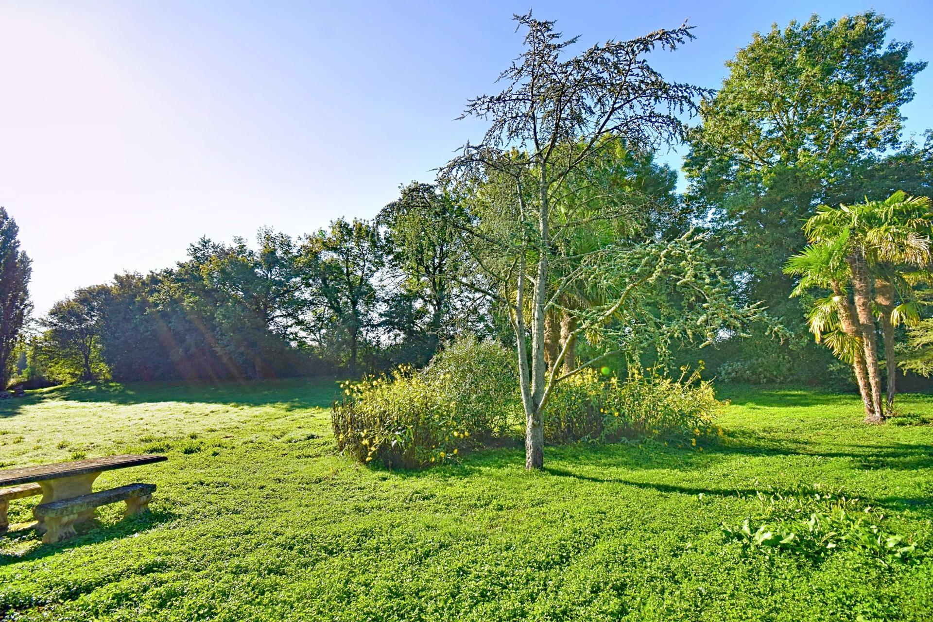 Photo 6 de l'annonce.