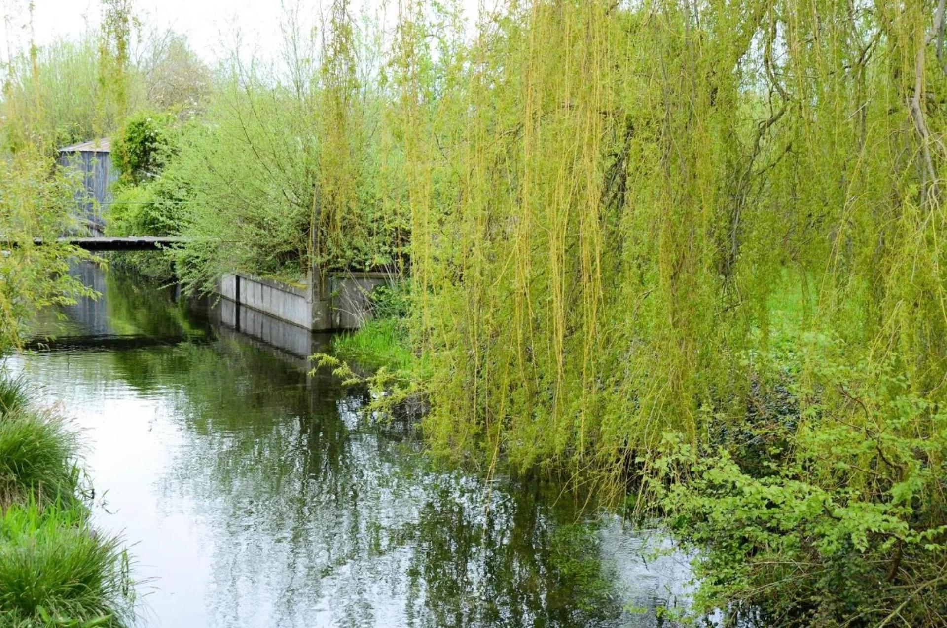 Photo 24 de l'annonce.